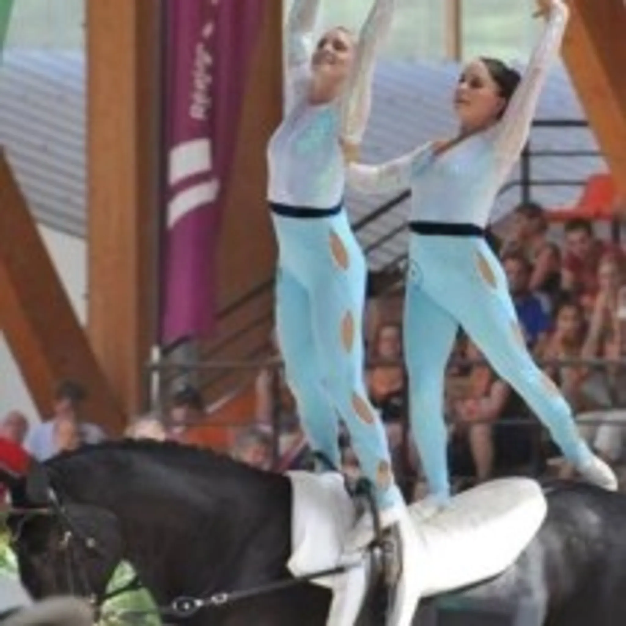 British Equestrian Vaulting