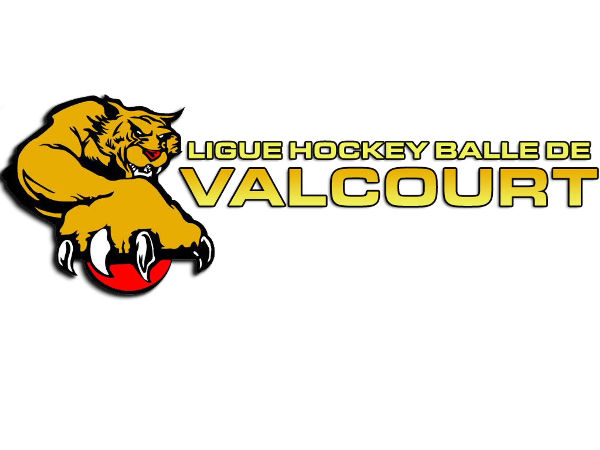 Ligue de Hockey Balle Valcourt