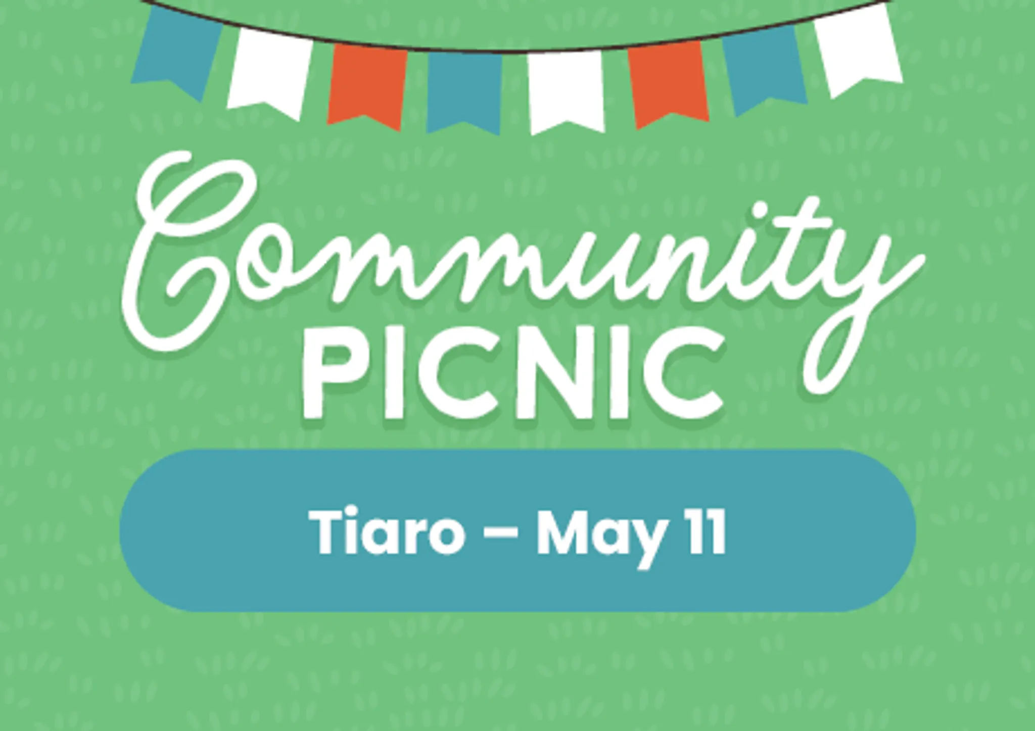 Community Picnic - Bauple