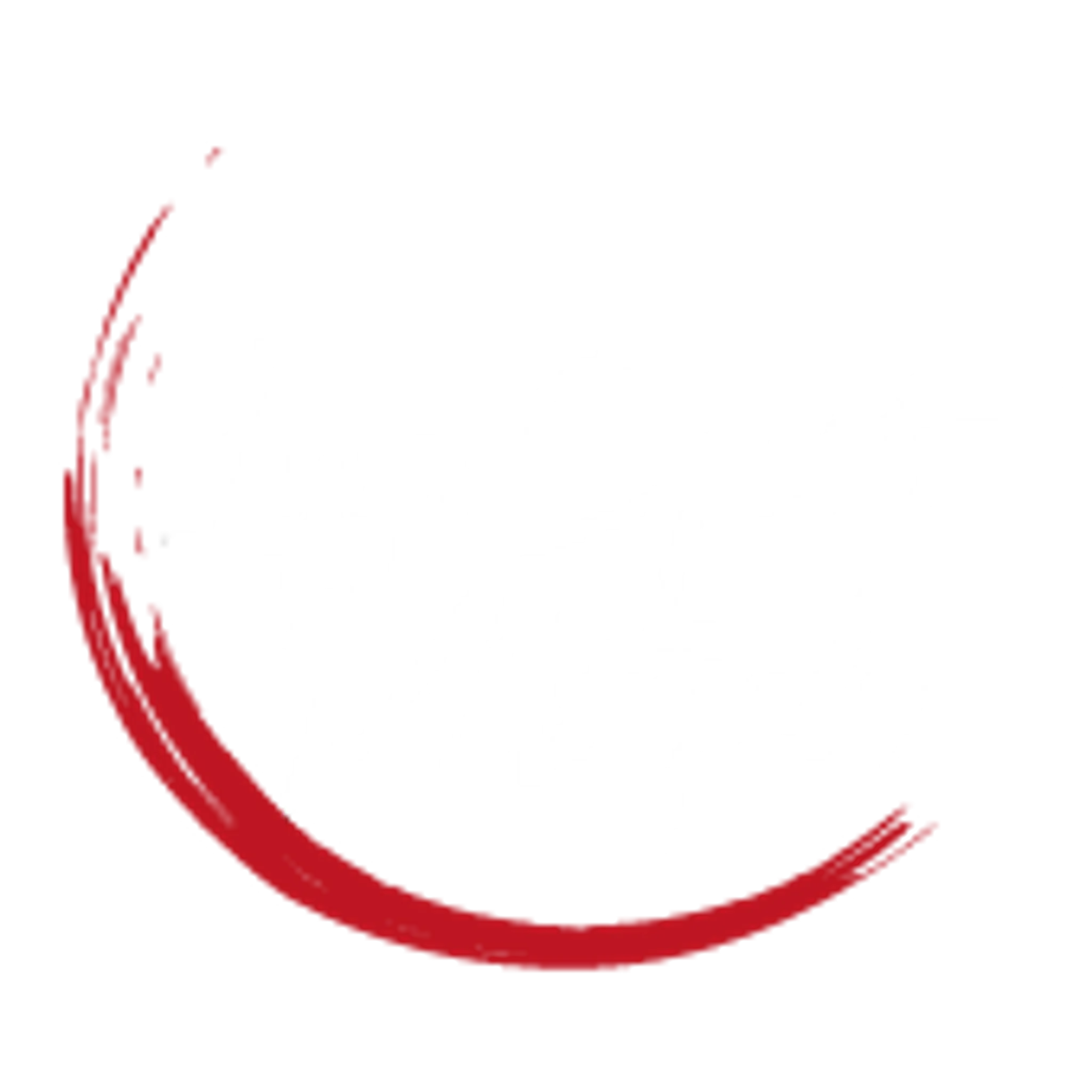 Badminton Lyon Sport Métropole