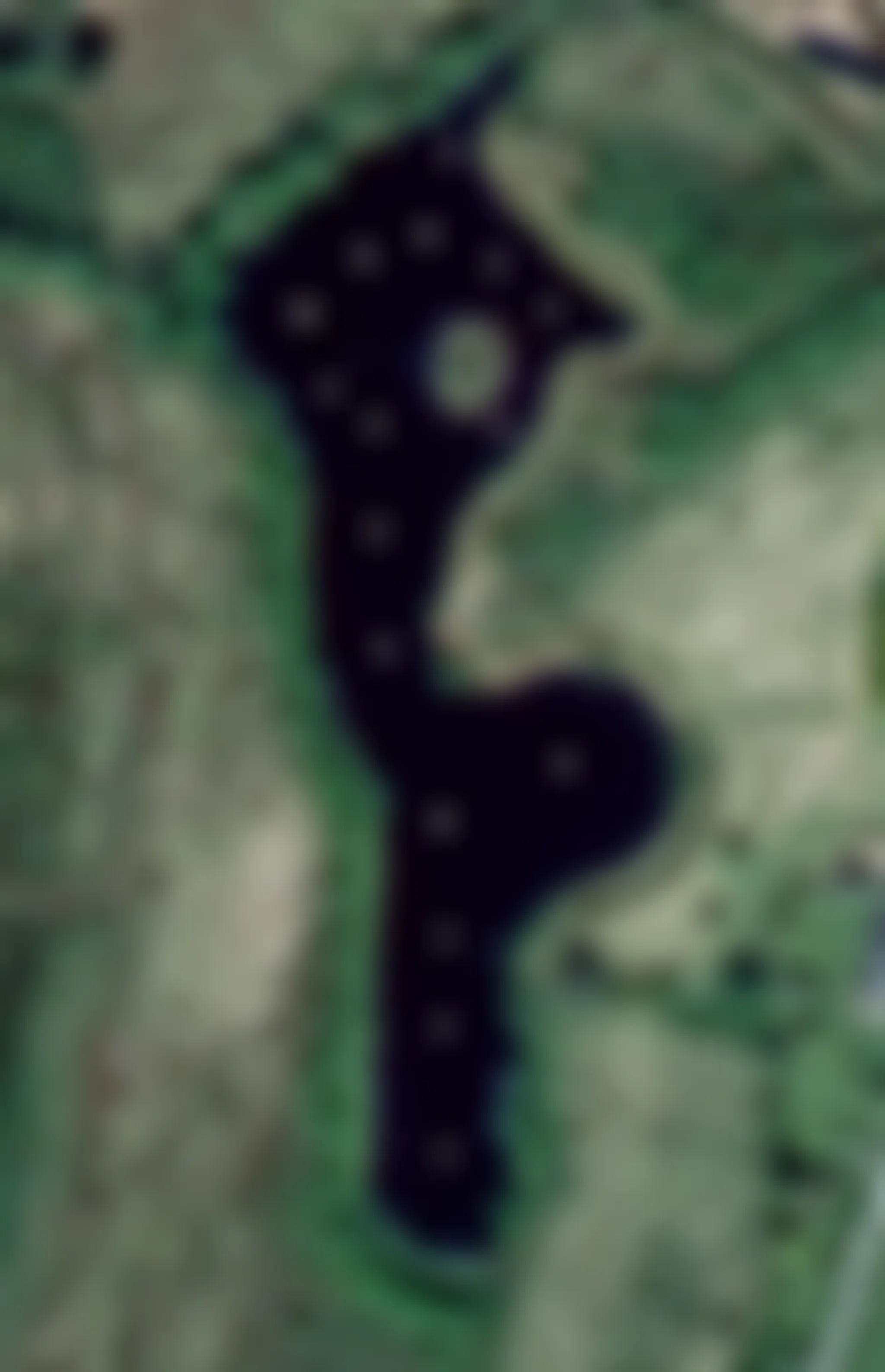 penuwch premier carp fishery