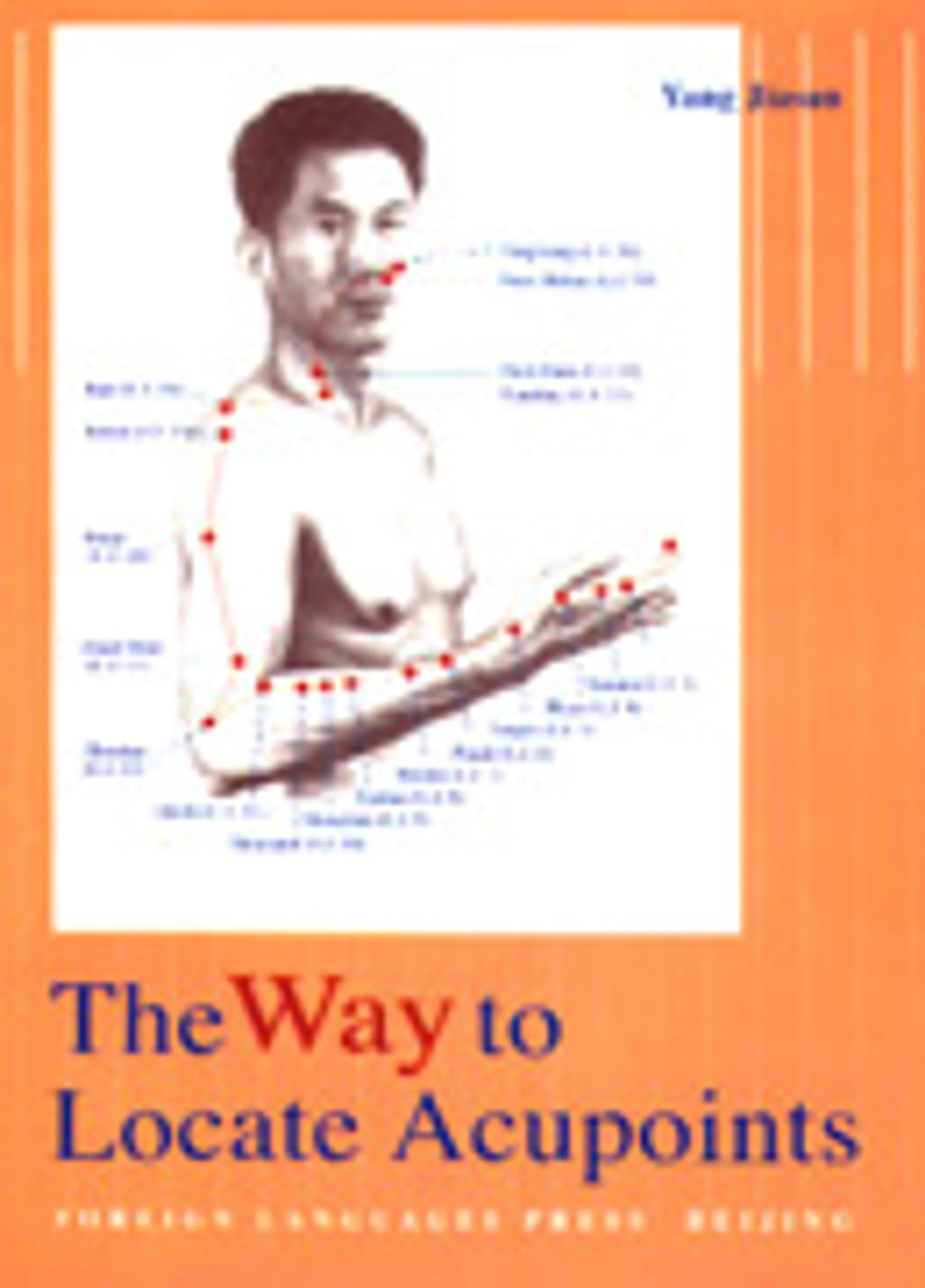 Sun Style Tai Chi Class in Adelaide