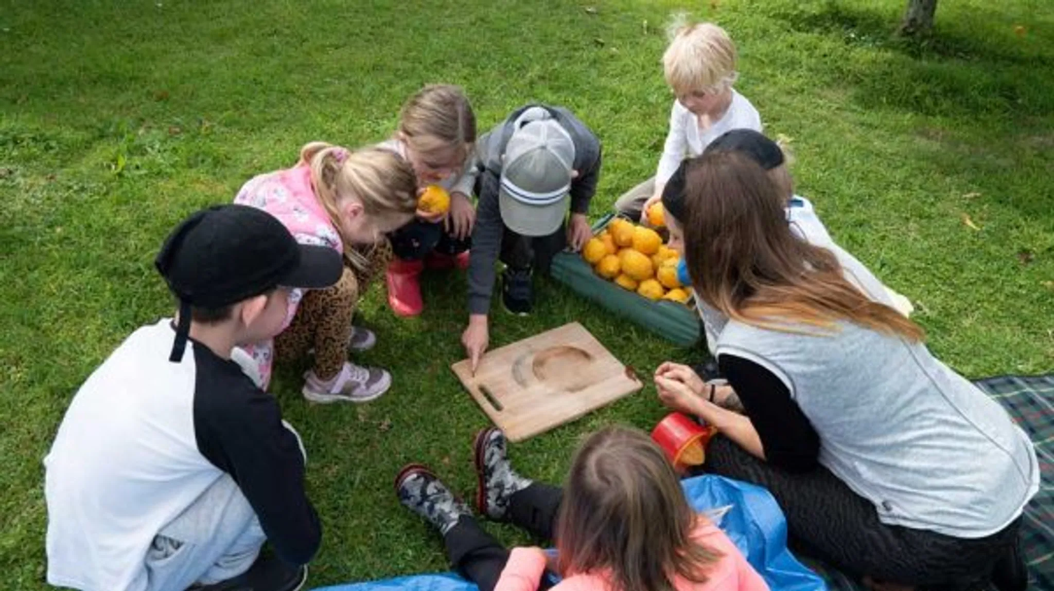 Nature School Weekdays