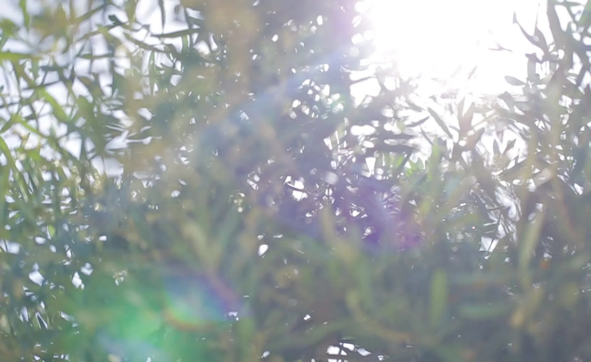 Beginner Ladies Golf Clinic with Cari Chow