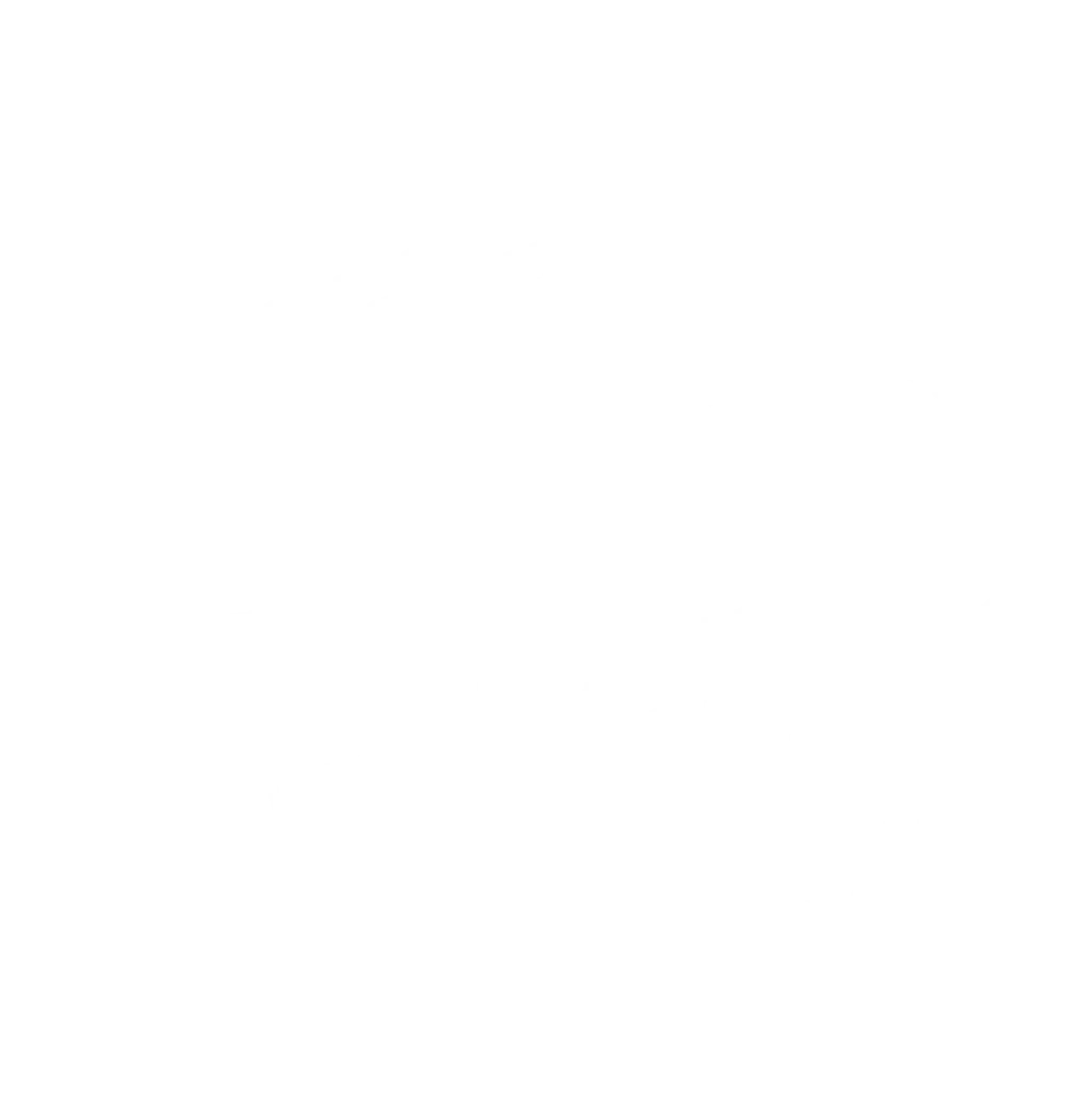 Boss Fitness