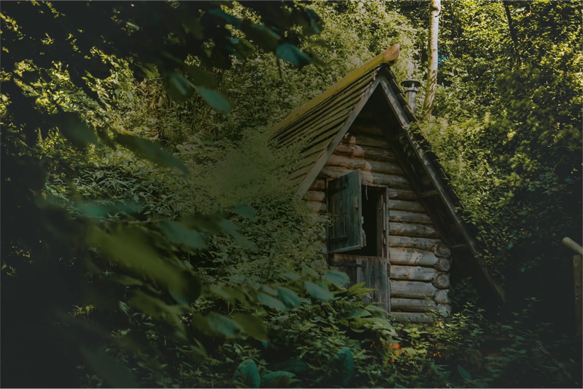 200hr yoga teacher training