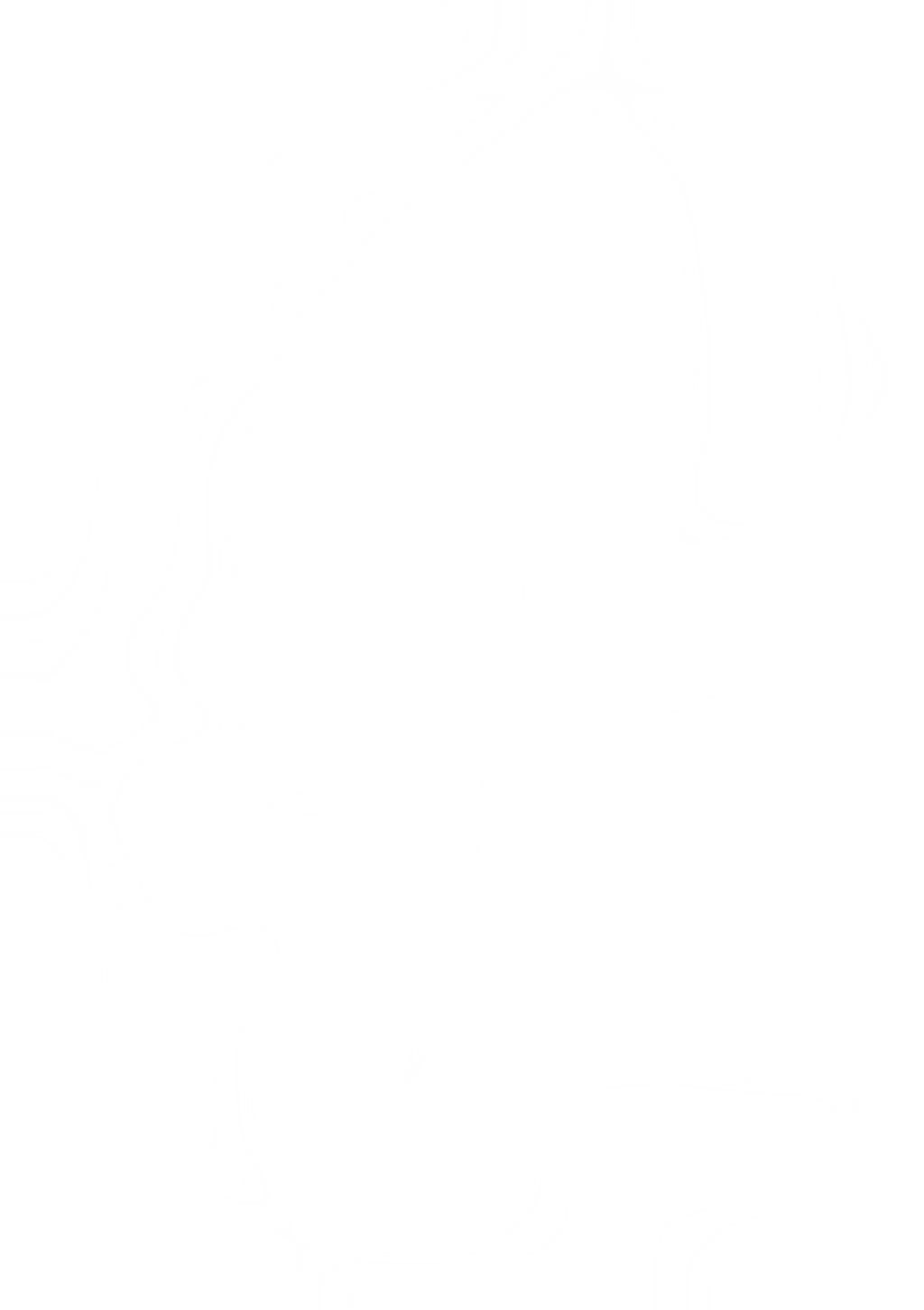 Ozsports Brown Plains