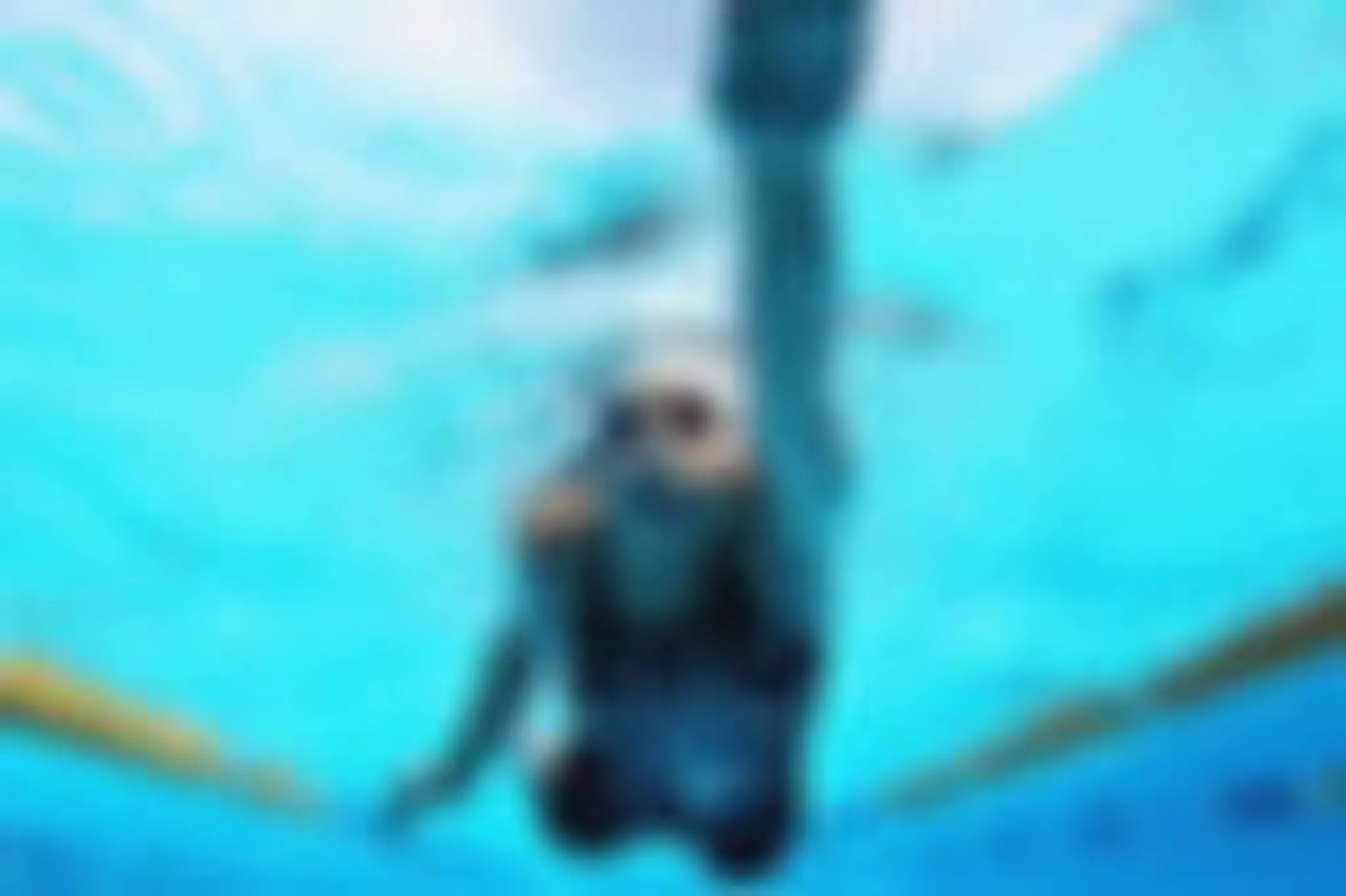 Friendly School Laïque Des Gratte-Ciel