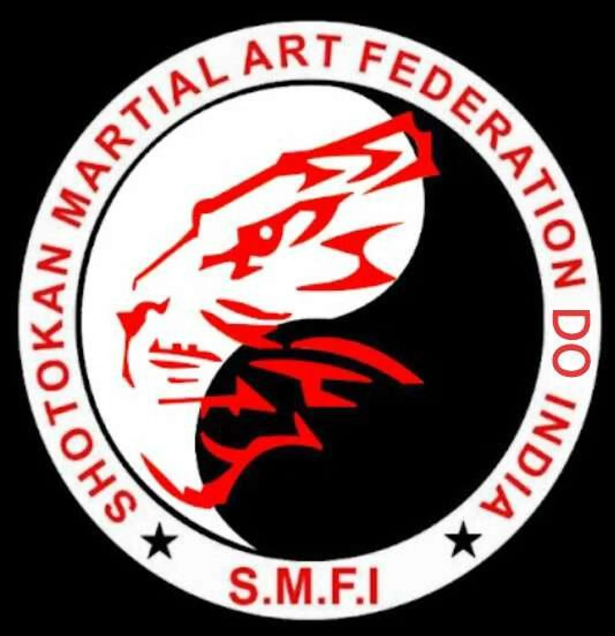 Shotokan Martial Art