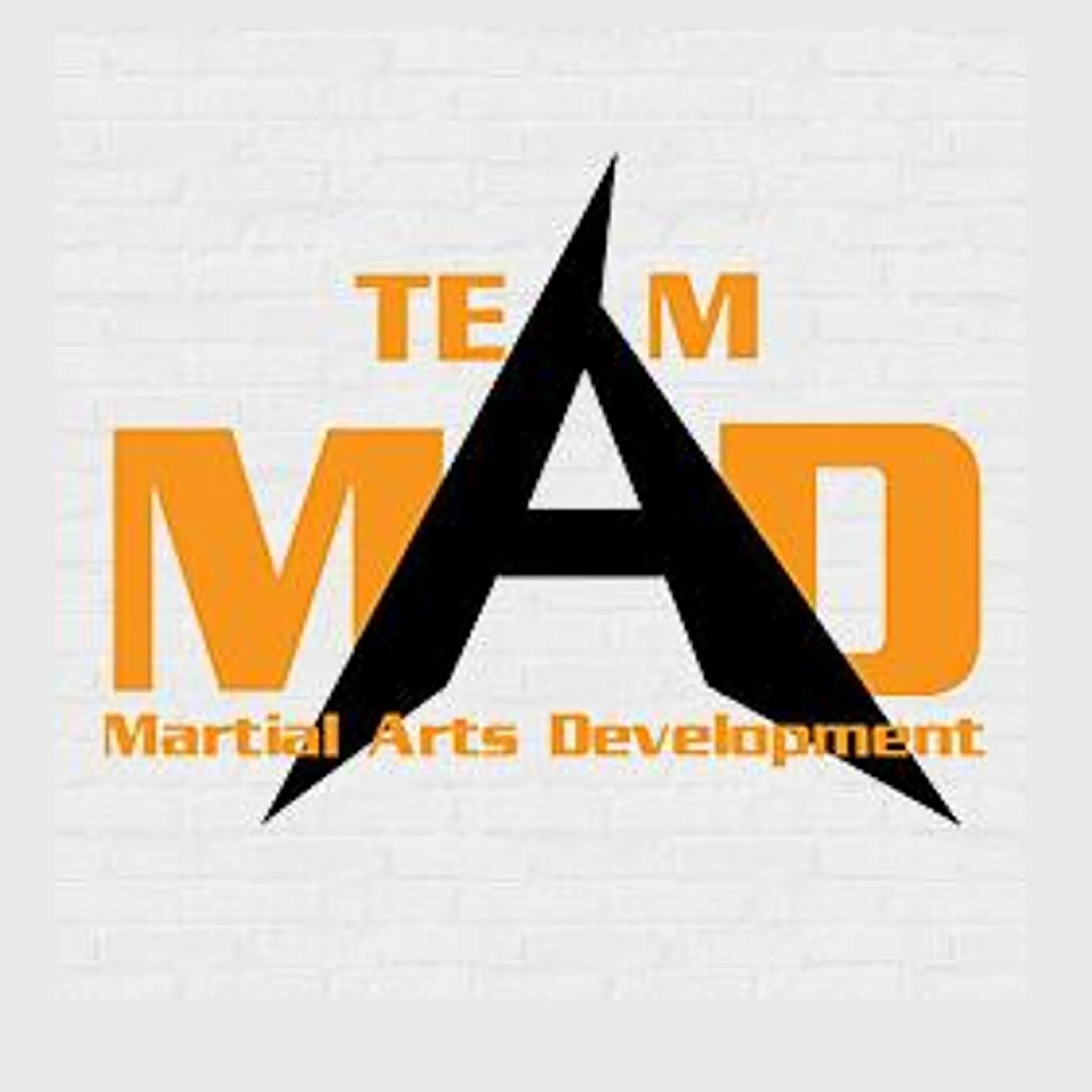 Martial Arts Development