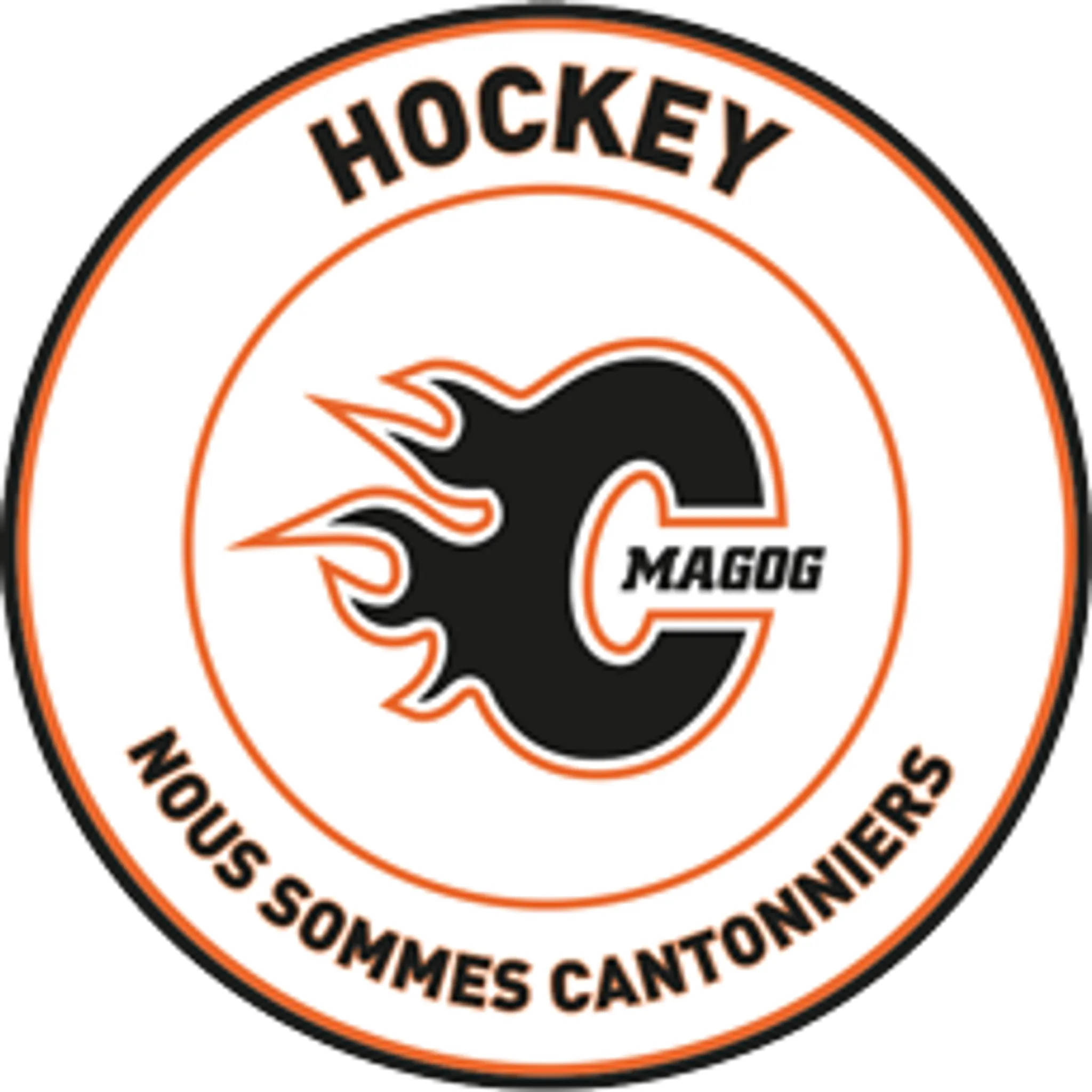Association De Hockey Mineur De Magog Inc