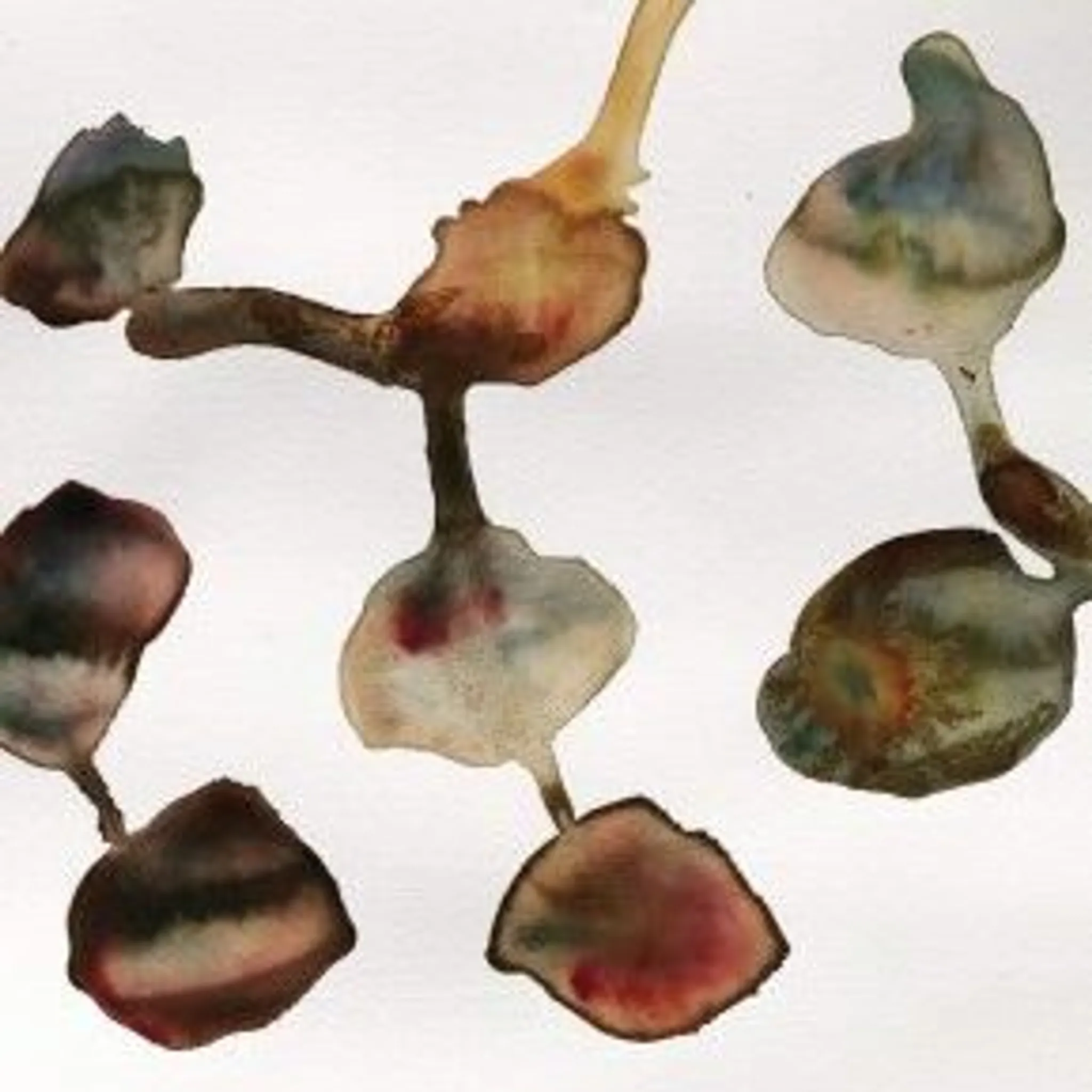 attento.me yoga and massage