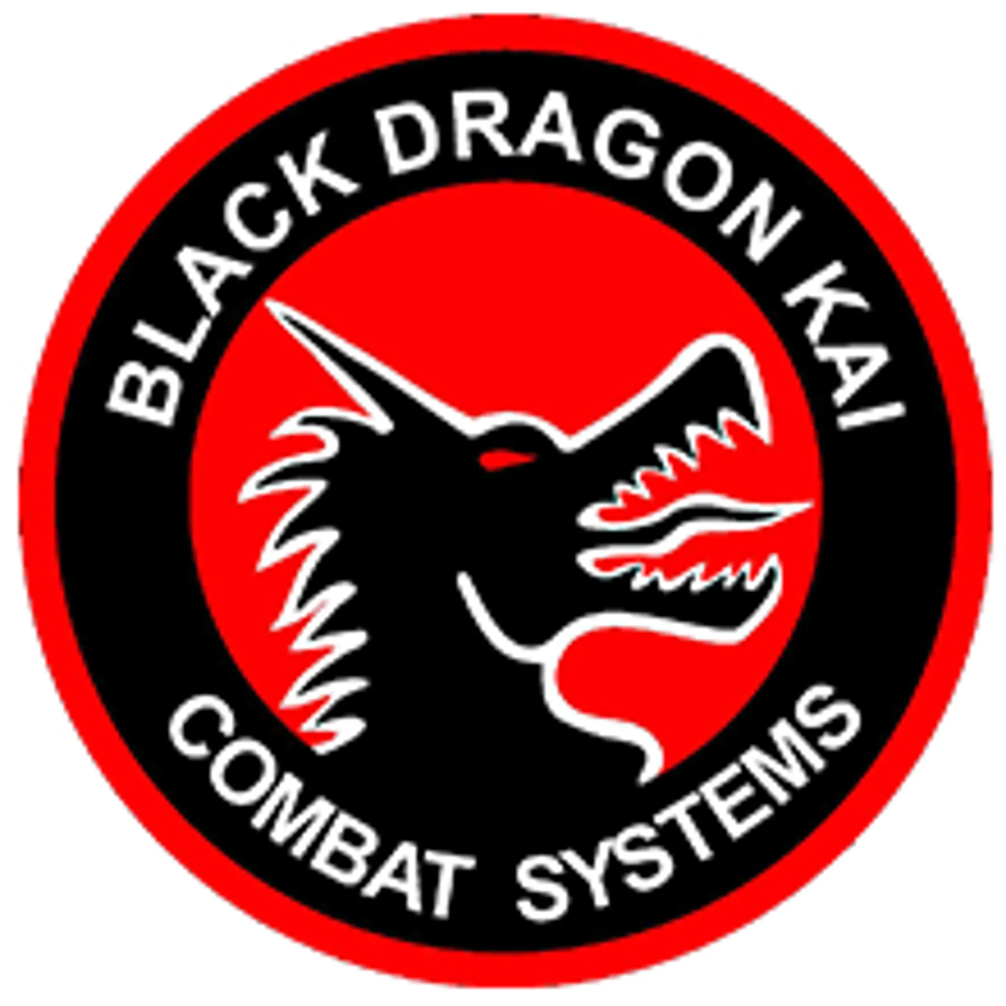 Black Dragon Kai Martial Arts Beaudesert