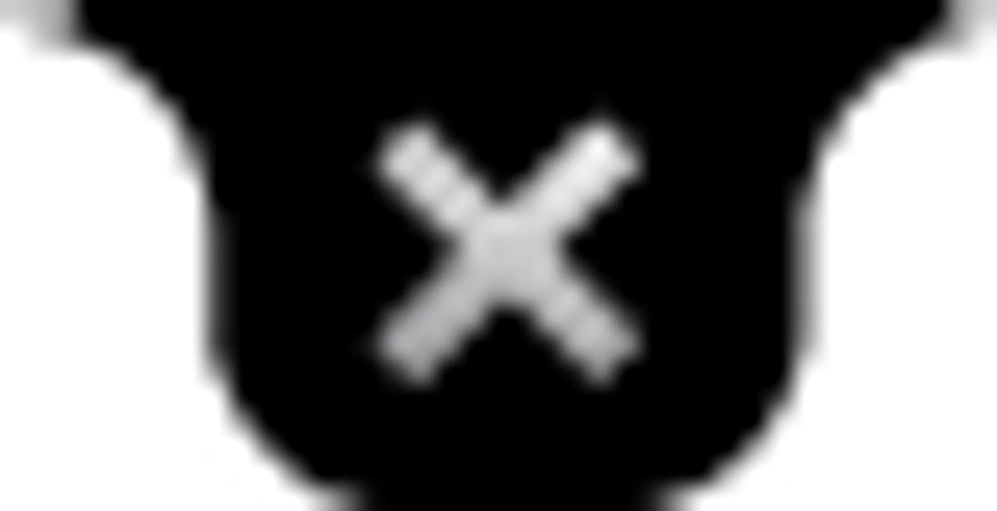 Twin Dragon Kickboxing, Kung-Fu Fitness Club