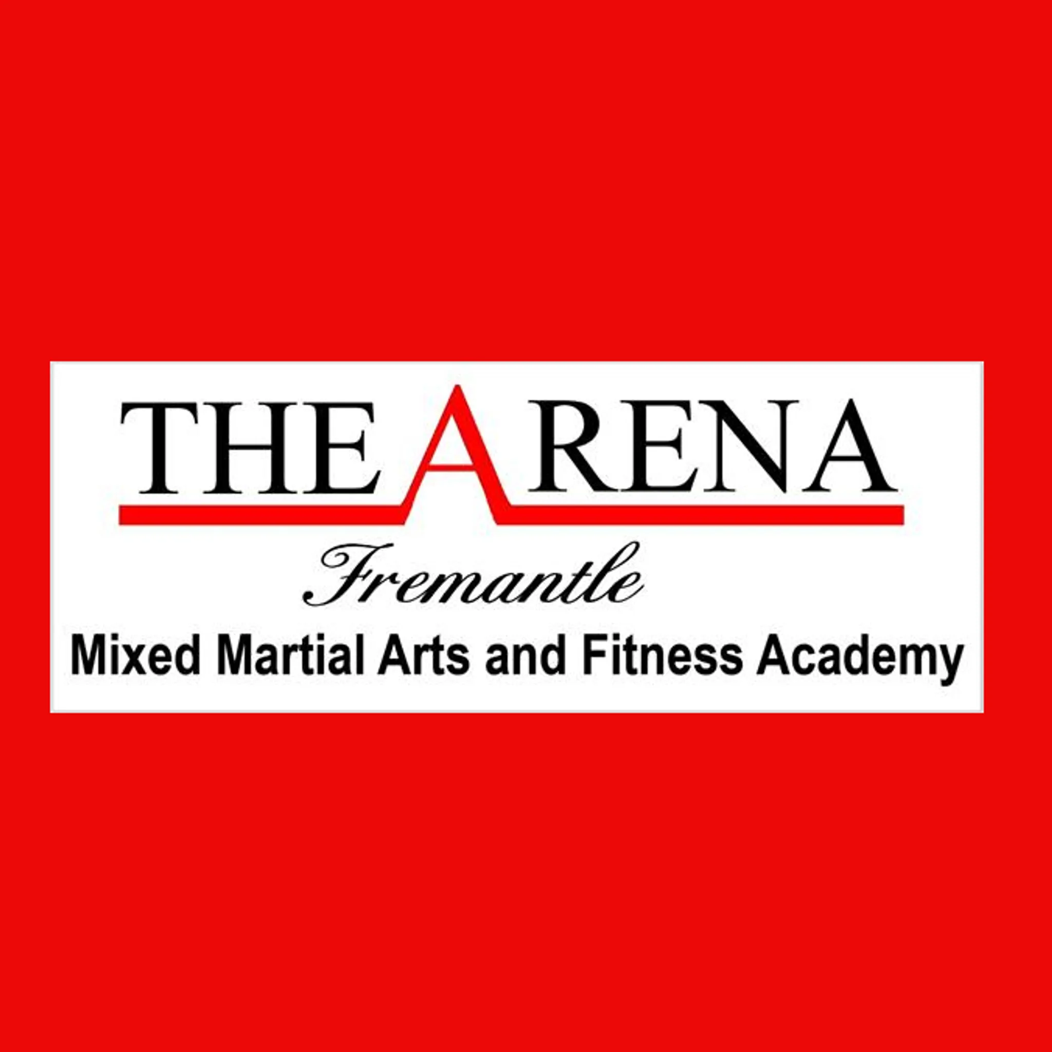 The Arena Mixed Martial Arts