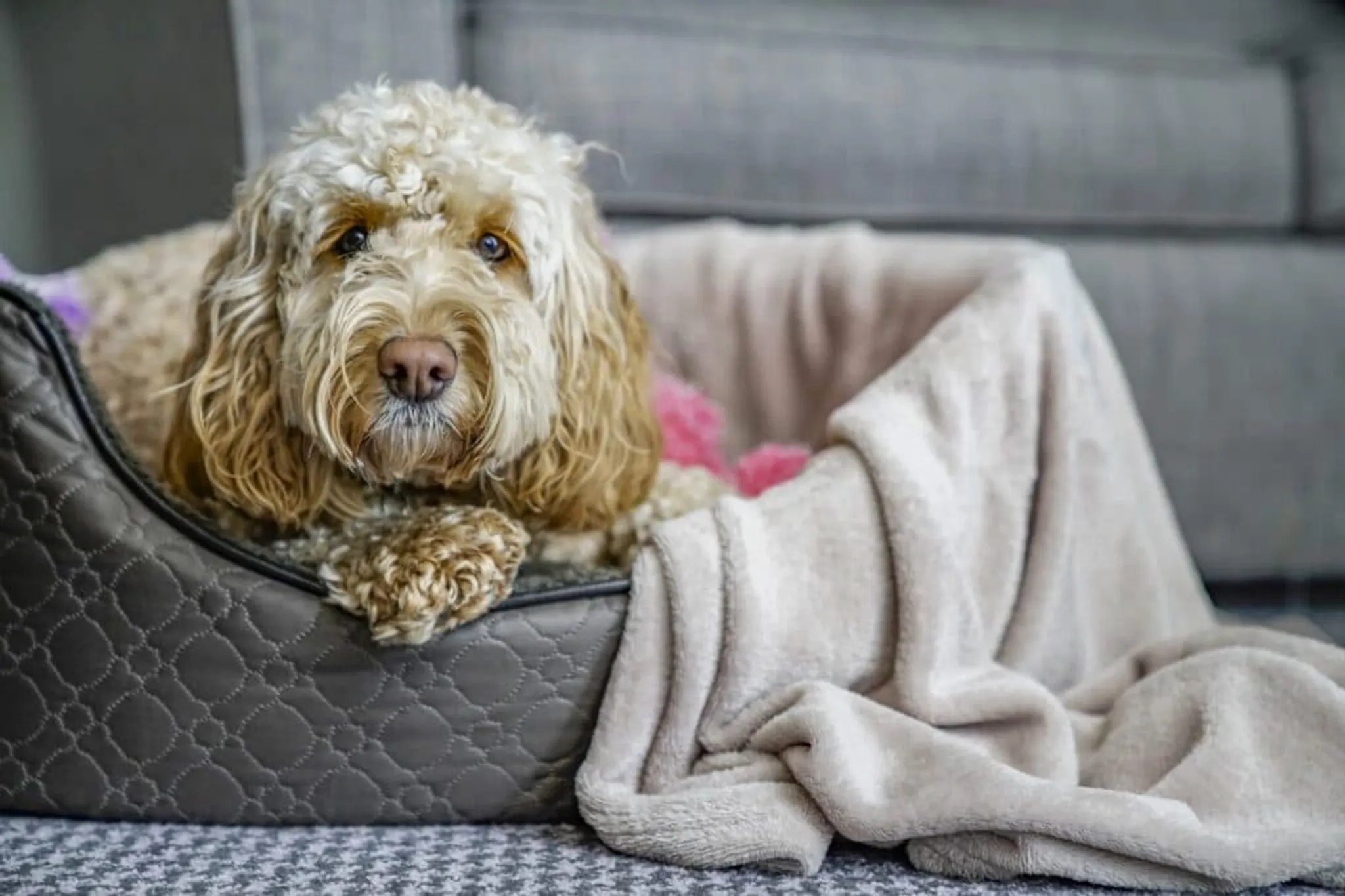 Rutland Hall Hotel & Spa Leisure Club