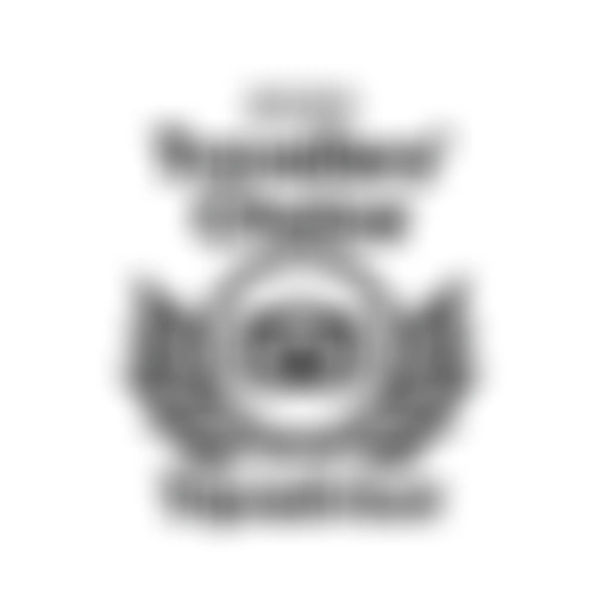 Thrillzone Queenstown