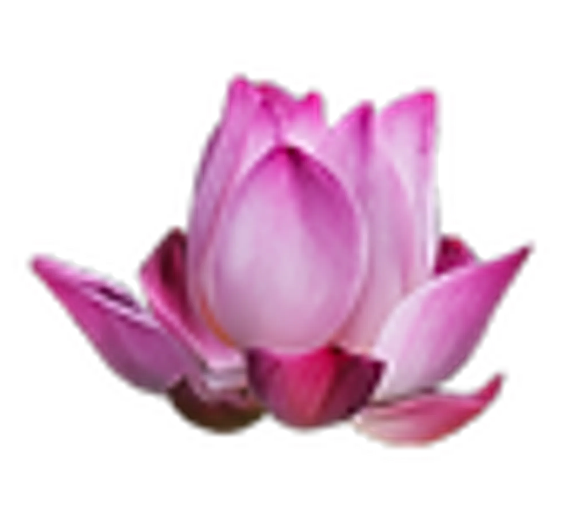 The Yoga Room and Yoga Therapy Centre