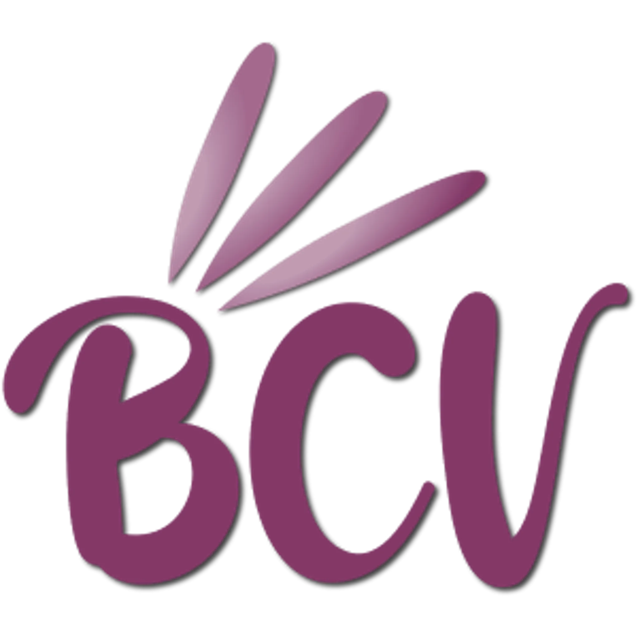 Badminton Club Védasien (Siège Social)