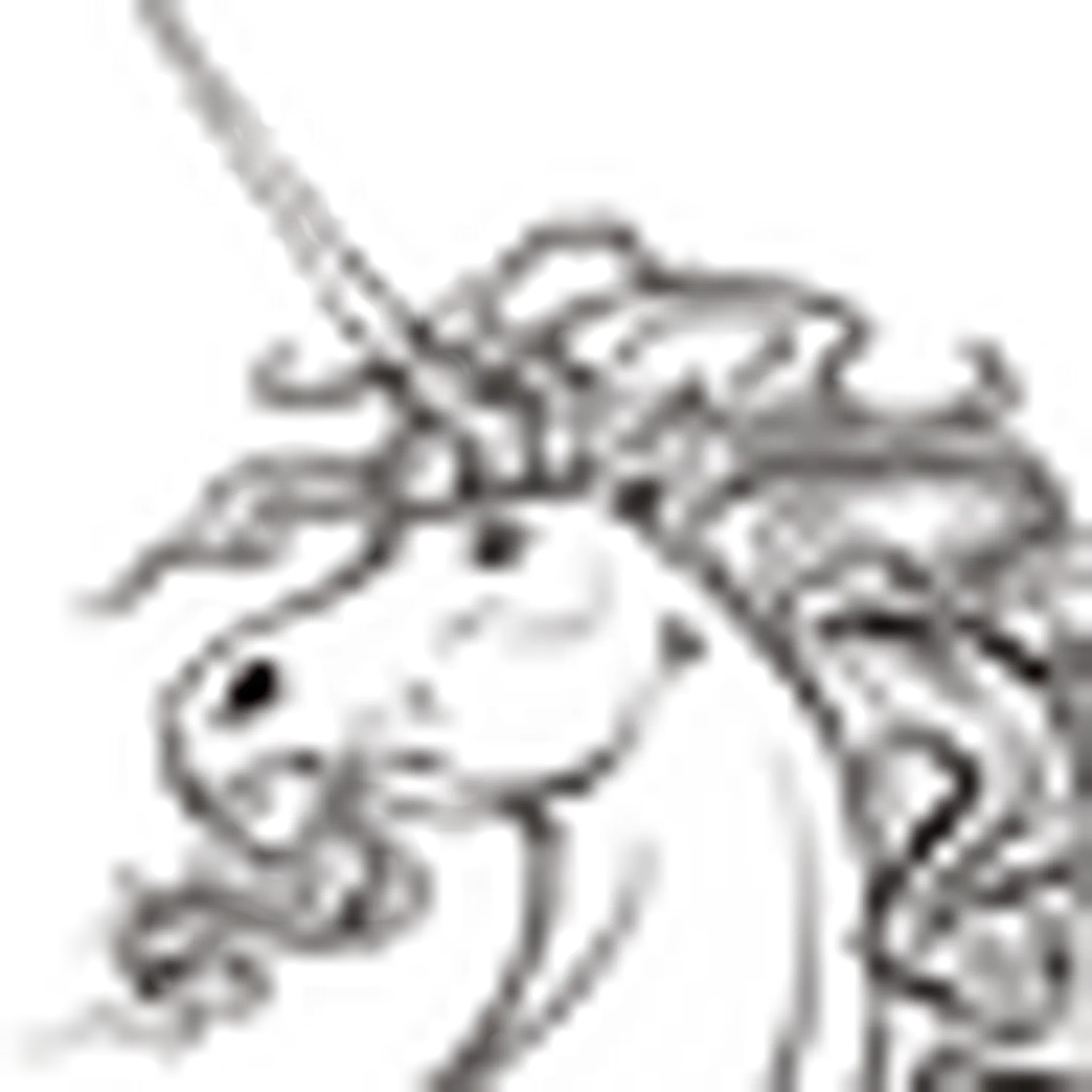 Academy Art Equestre