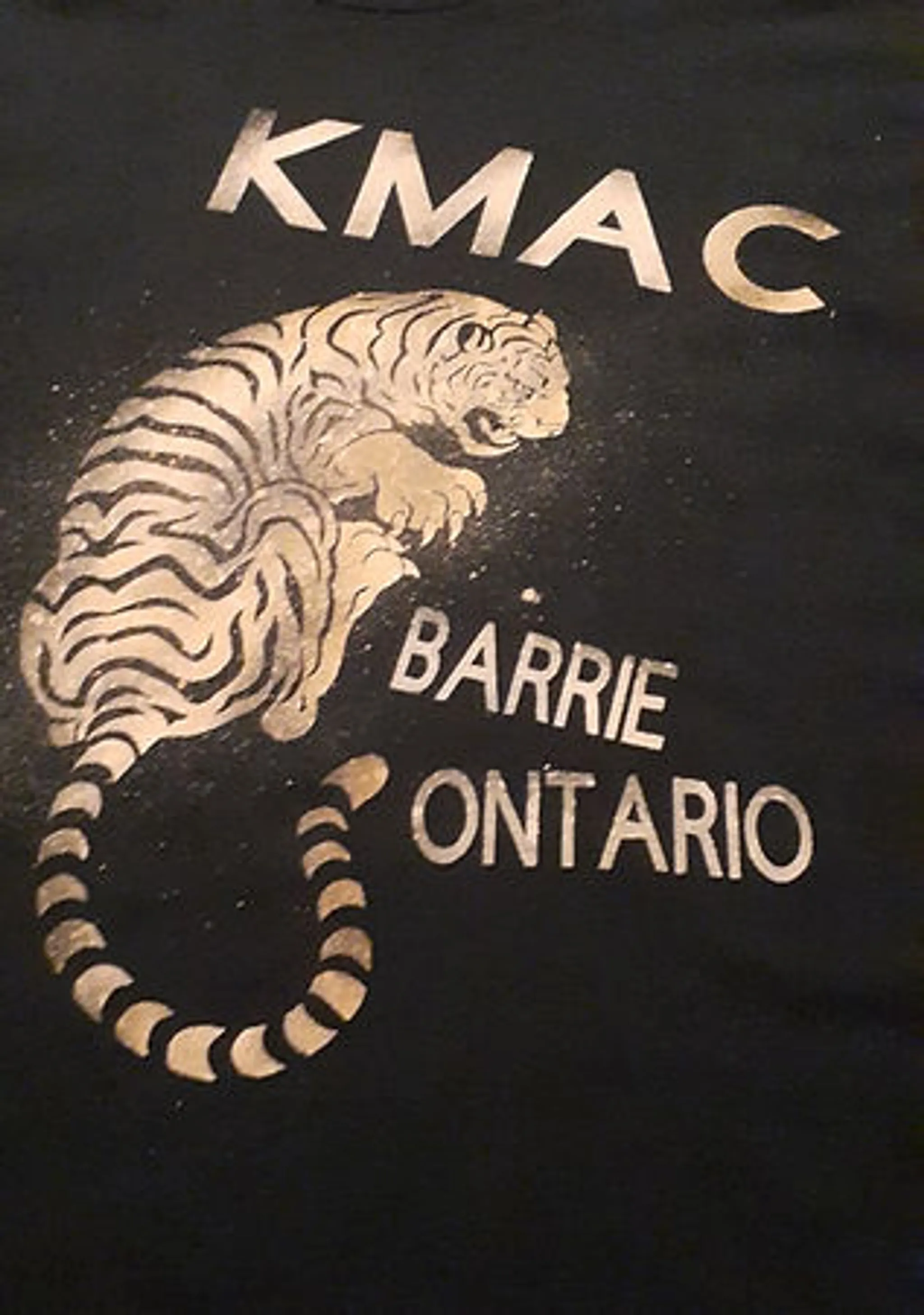 Korean Martial Arts Center