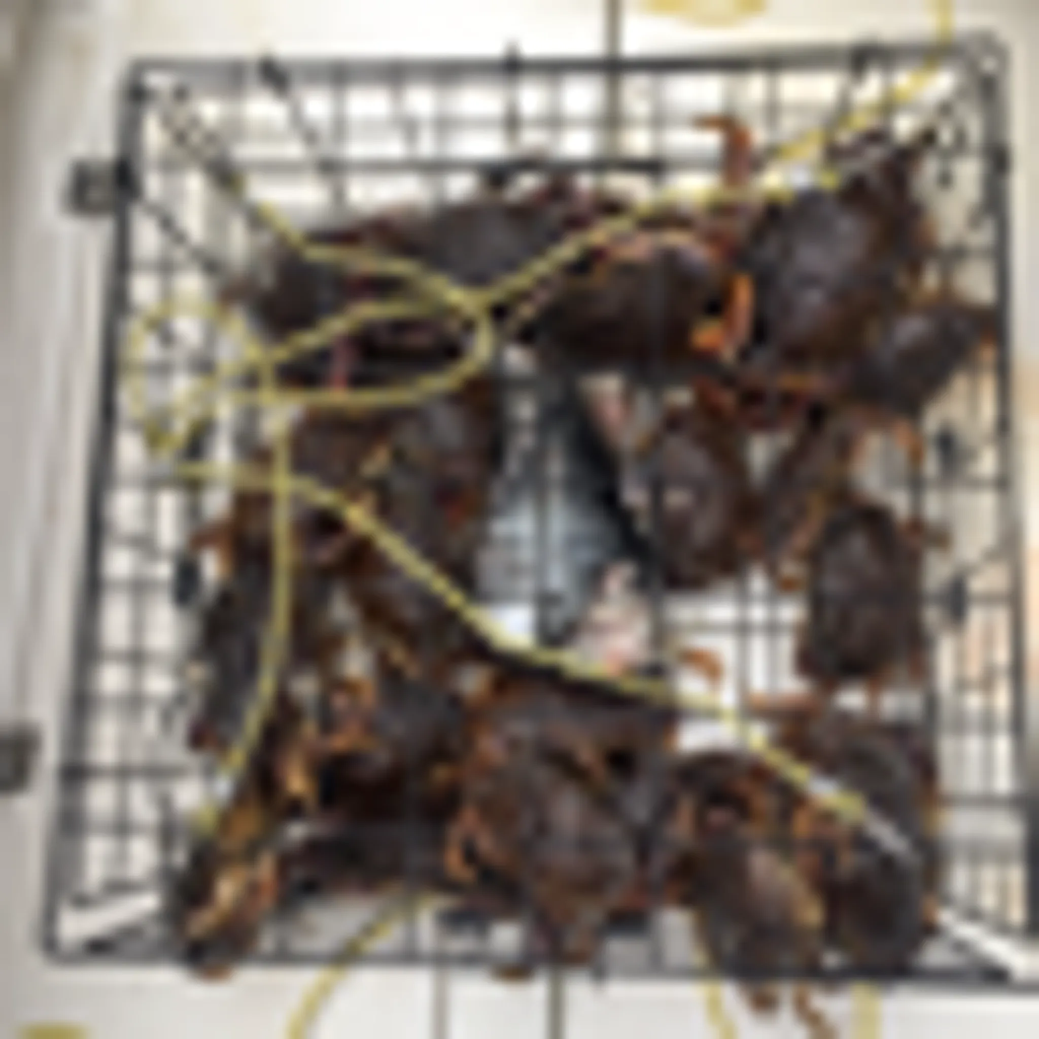 undercover sportfishing