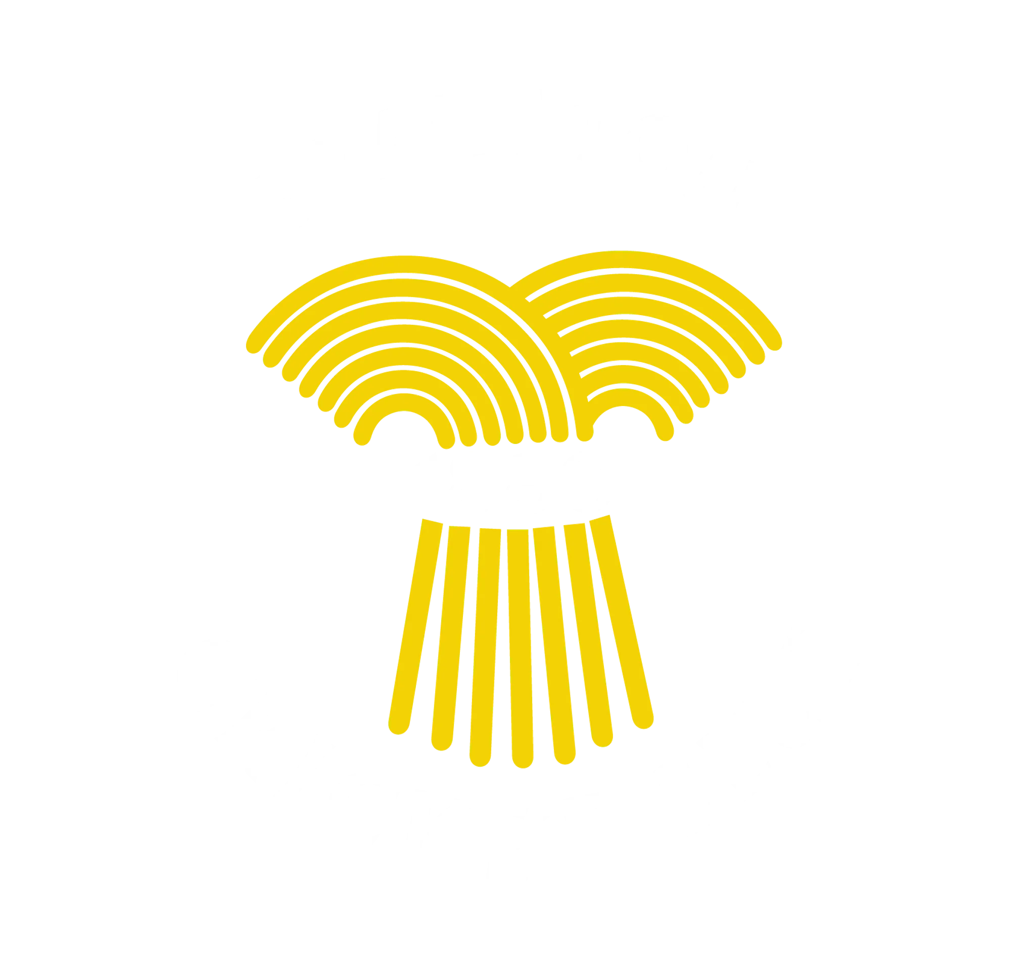 Braunton Cricket Club