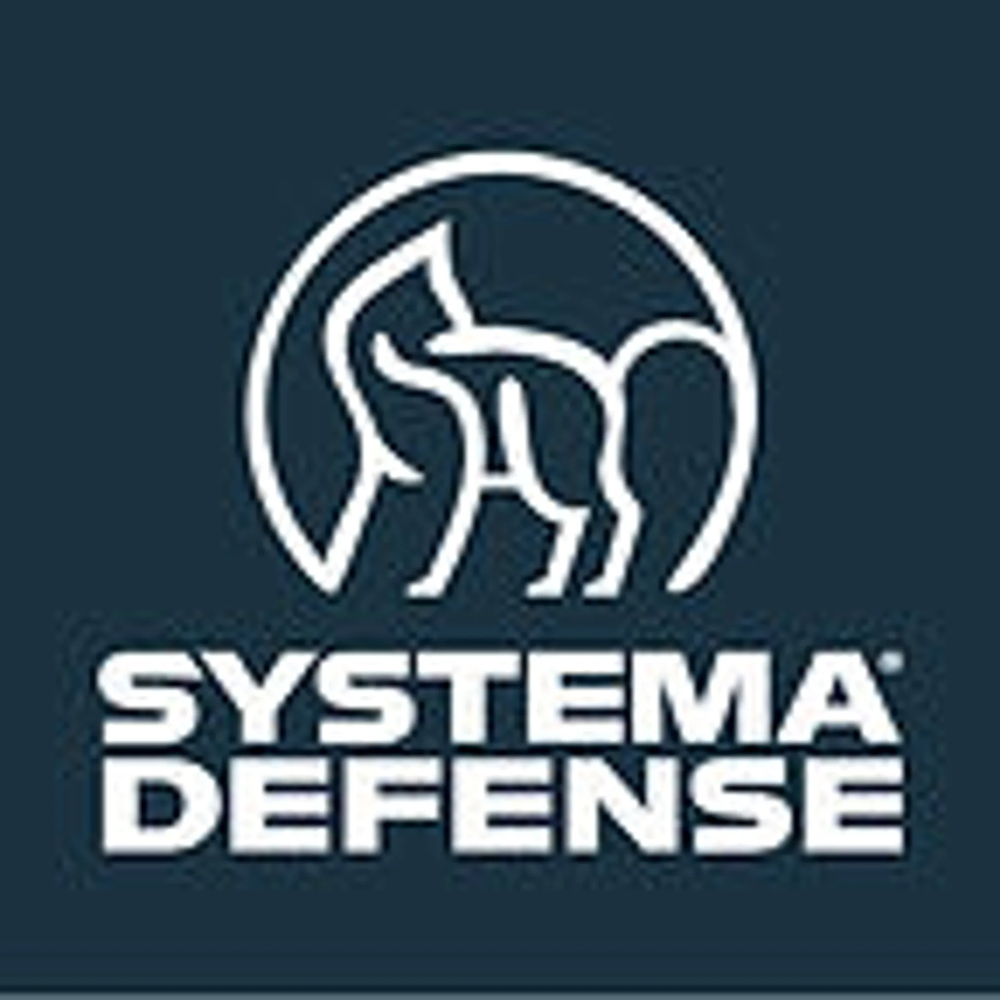 Systema Toulouse