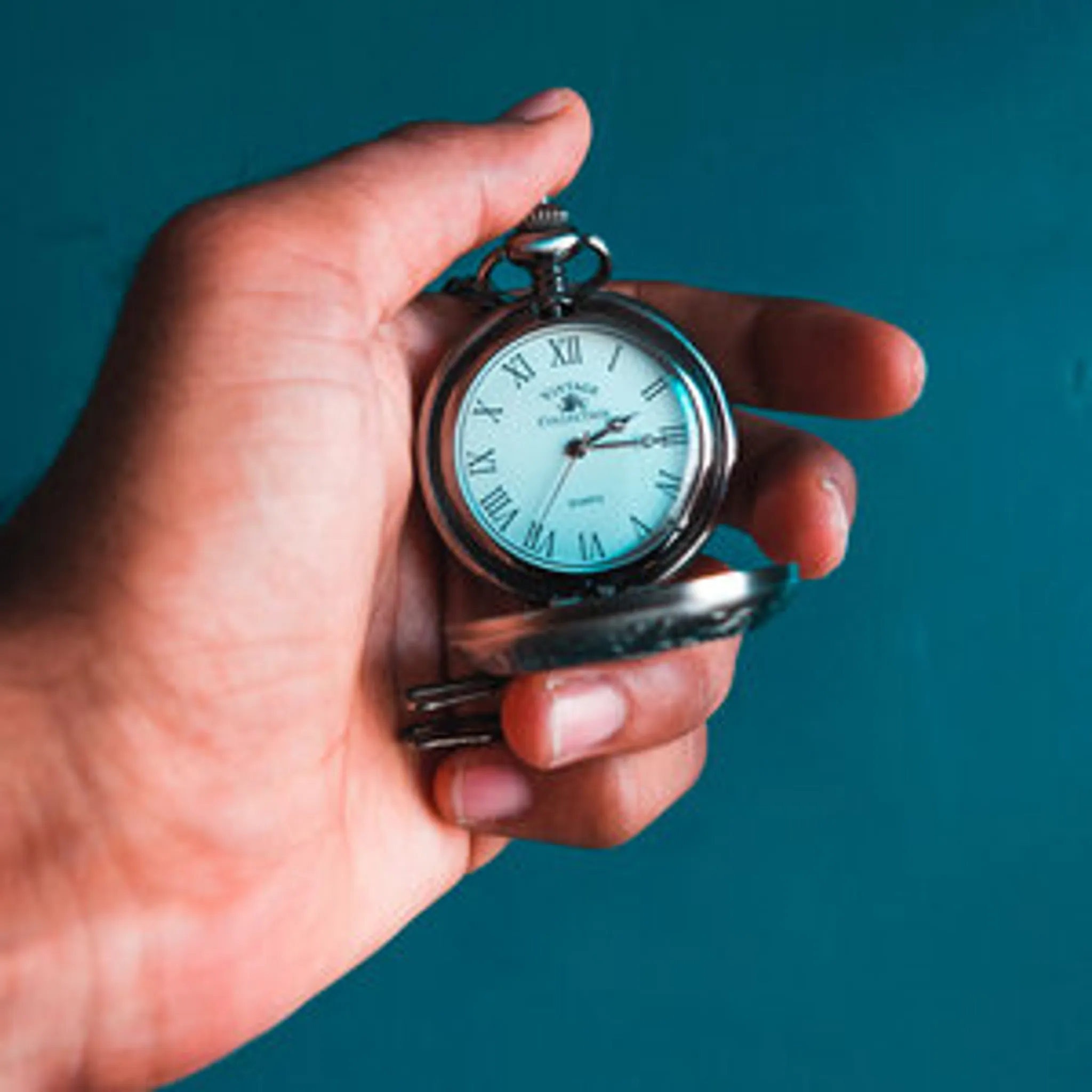 Movementum - Pain & Injury Clinic / Natural Movement Coaching