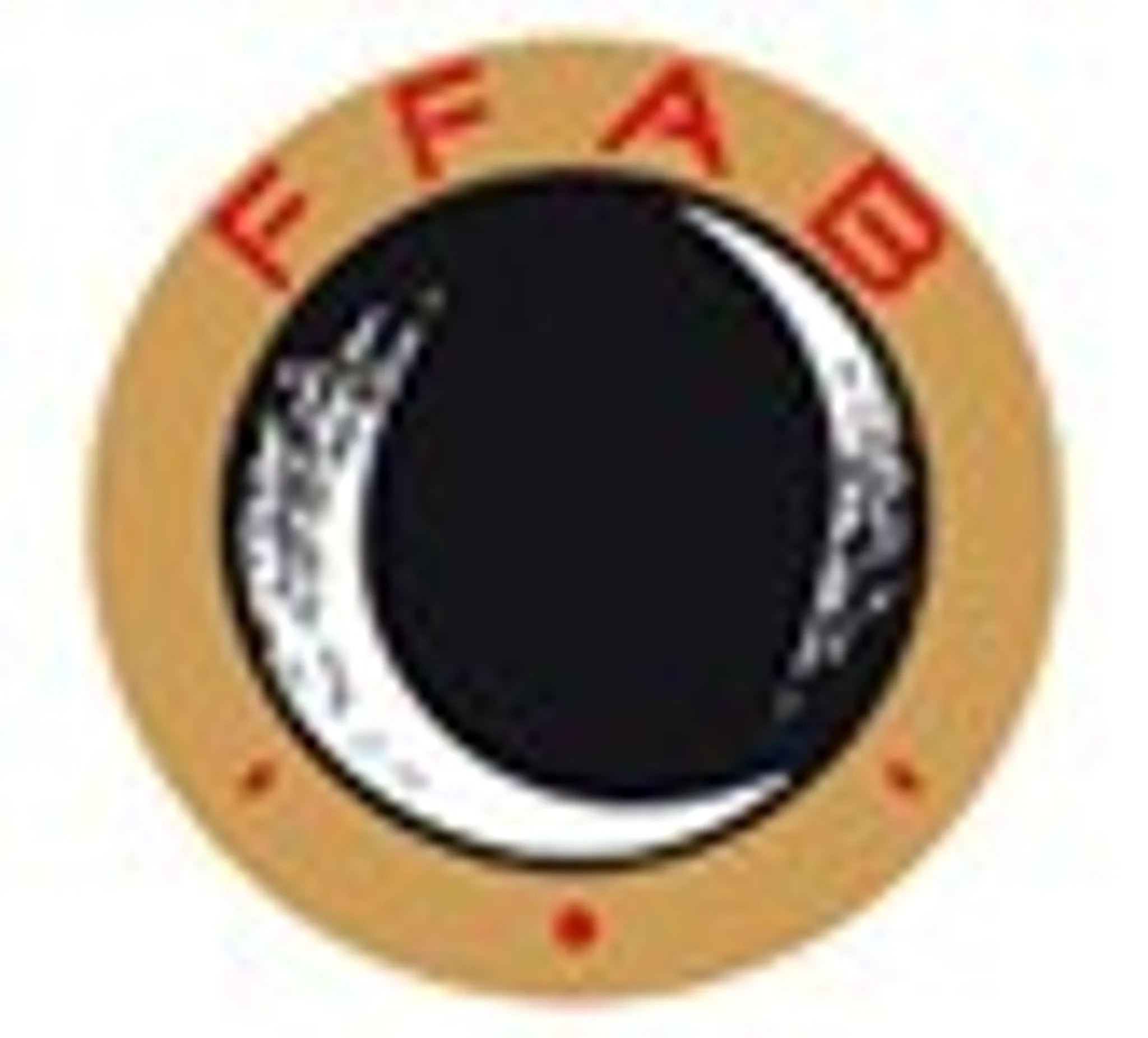 AIKIDO TAIJI QUAN FONSORBES