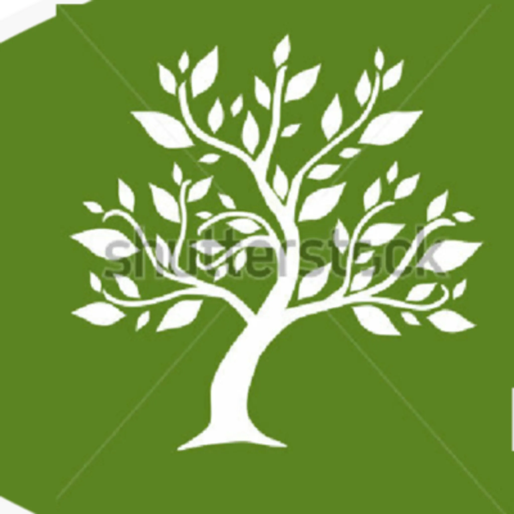 Life Essence Natural Therapies & Counselling Centre