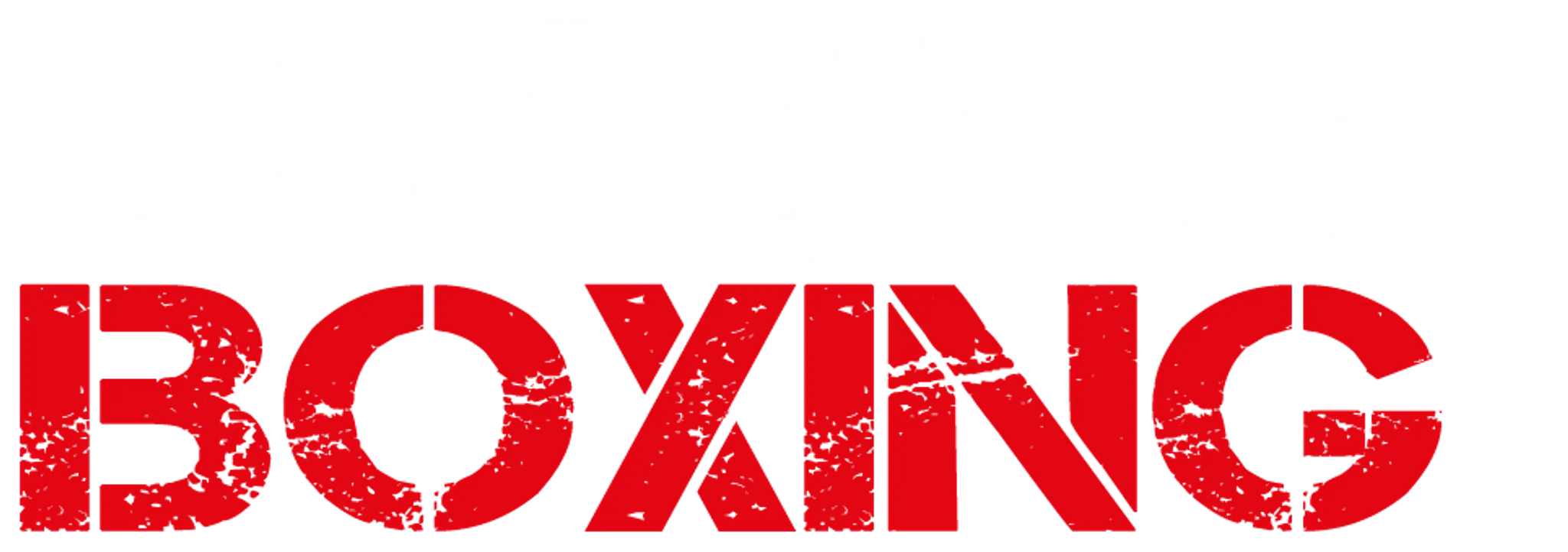 Brisbane Boxing Carina