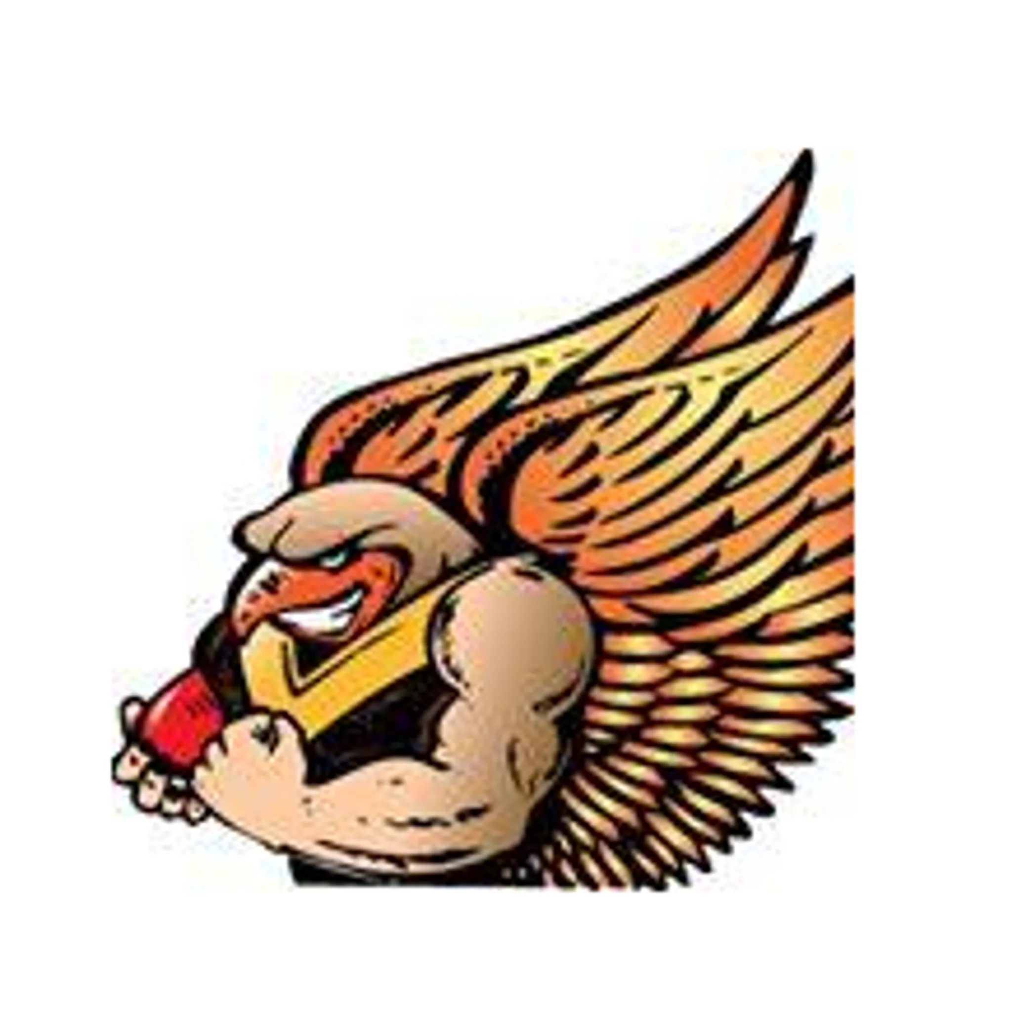 Boronia Football Club