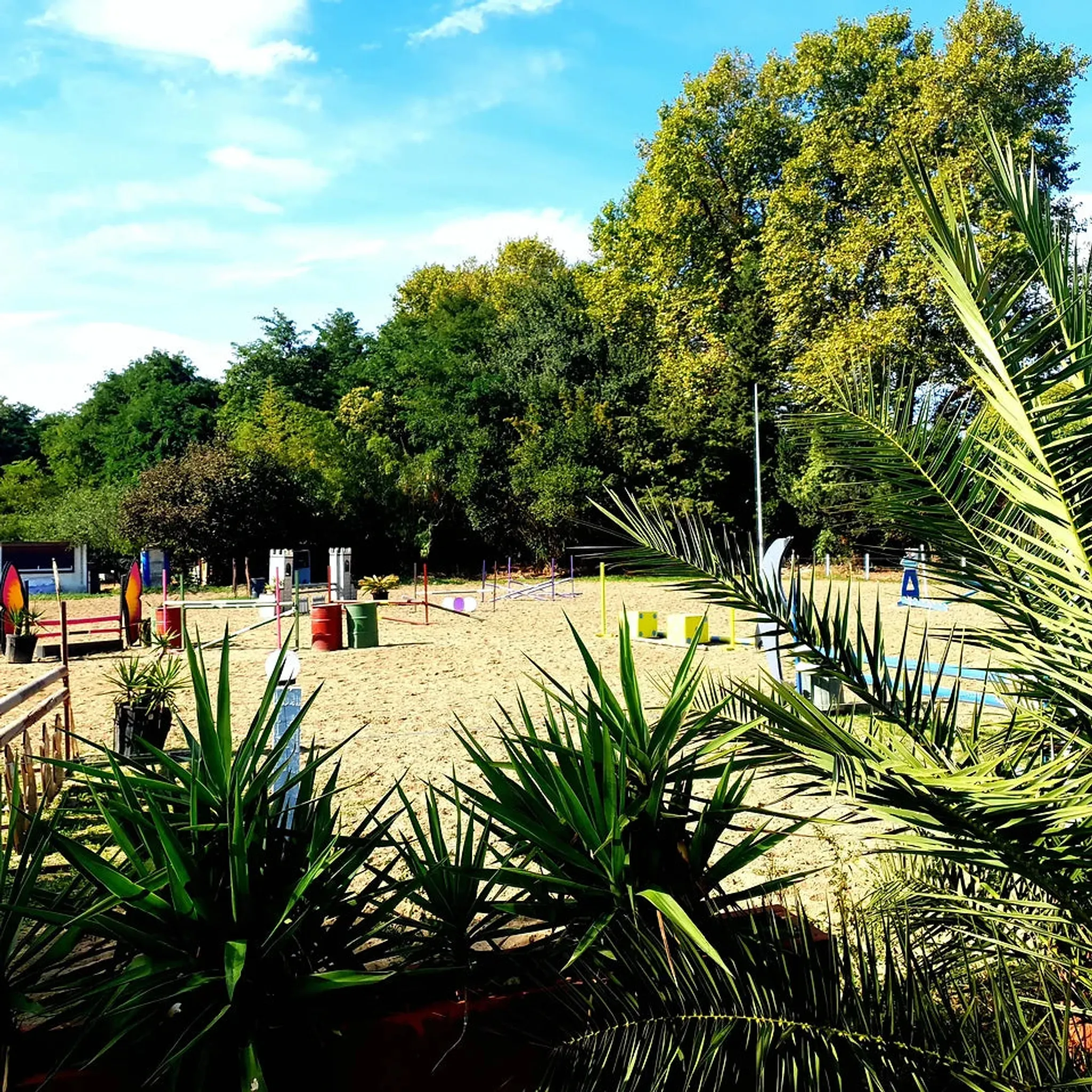 Livestock Du Riberal