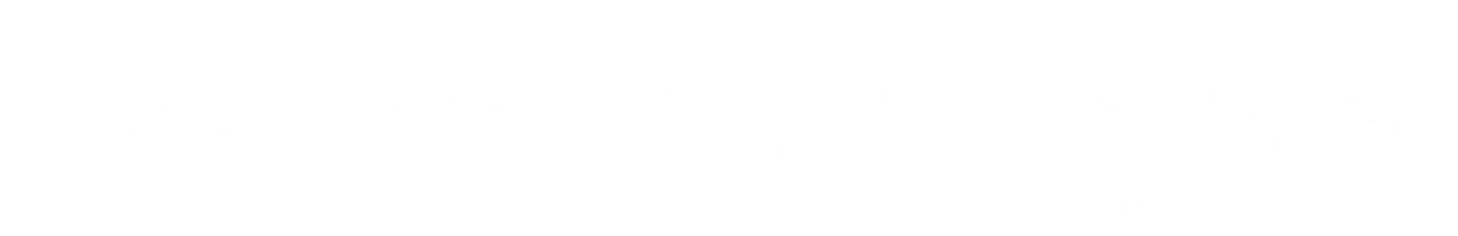 de Been 100% Jiu Jitsu - Torquay