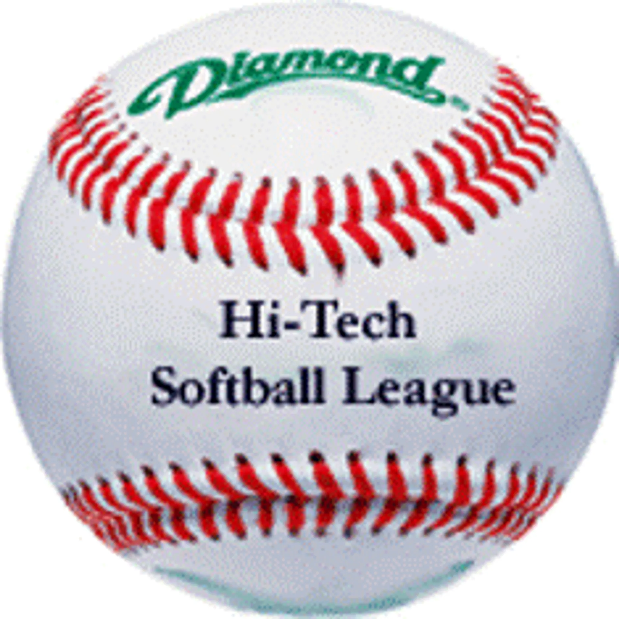 Hi Tech Softball League