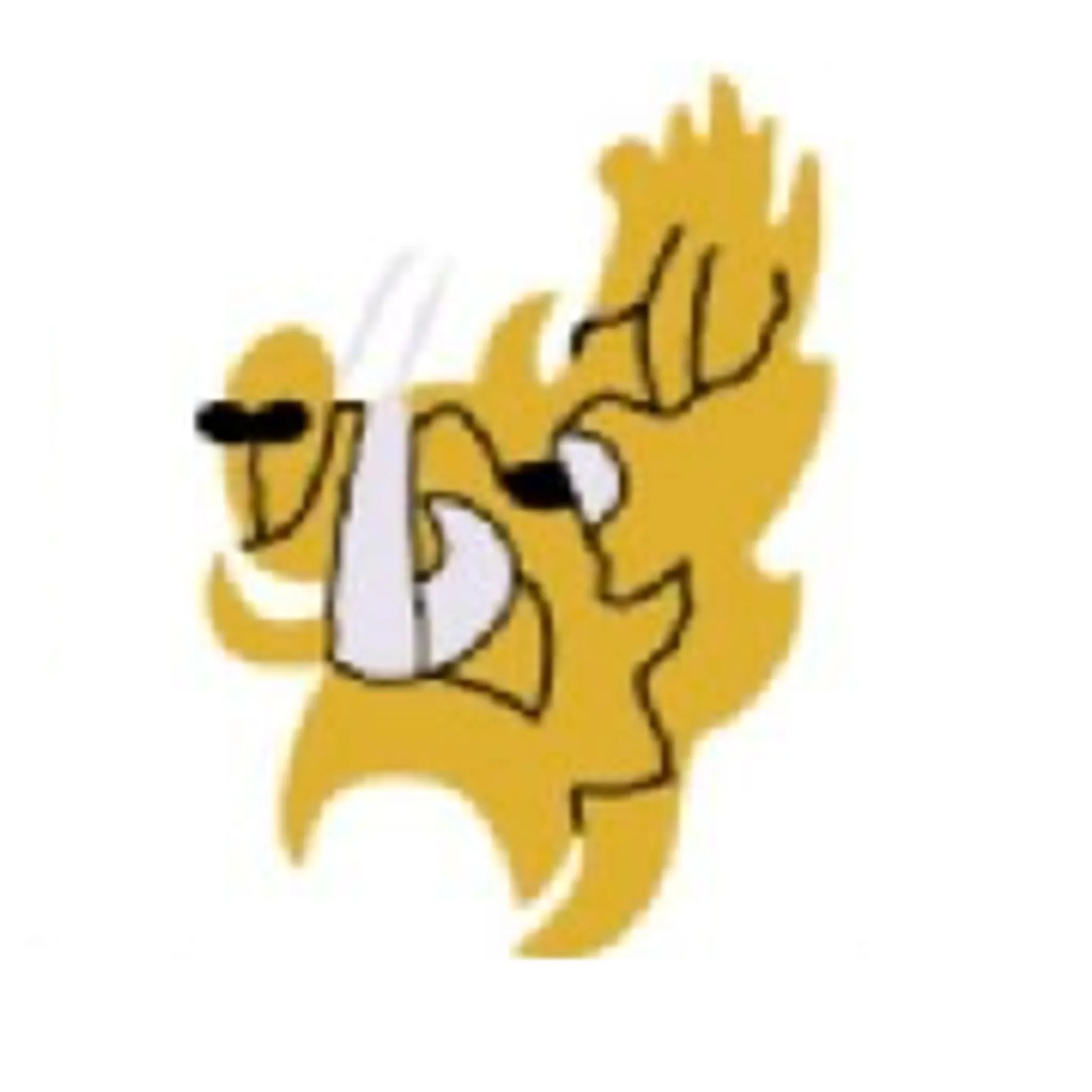 Rothwell Cricket Club