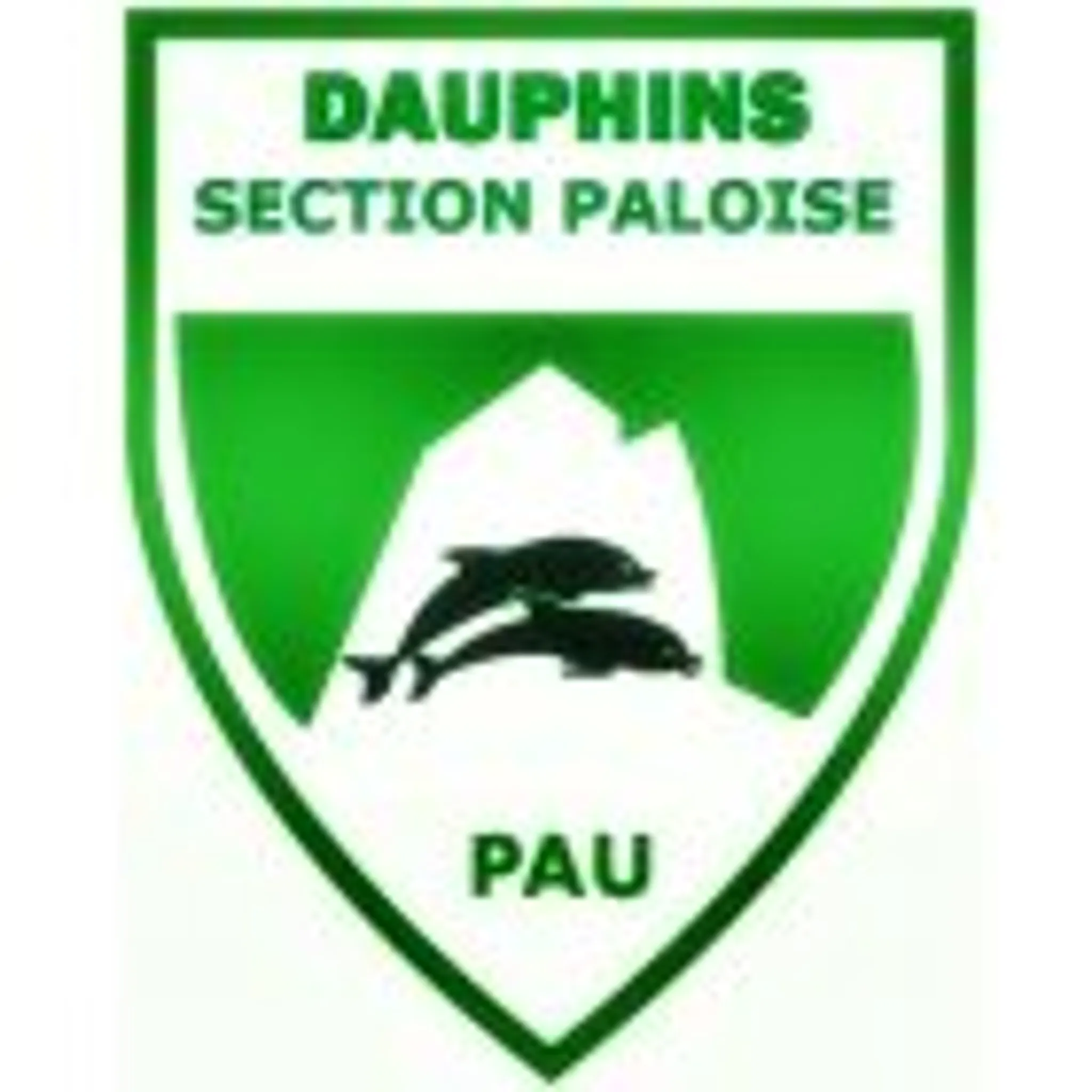 Dauphins de la Section Paloise