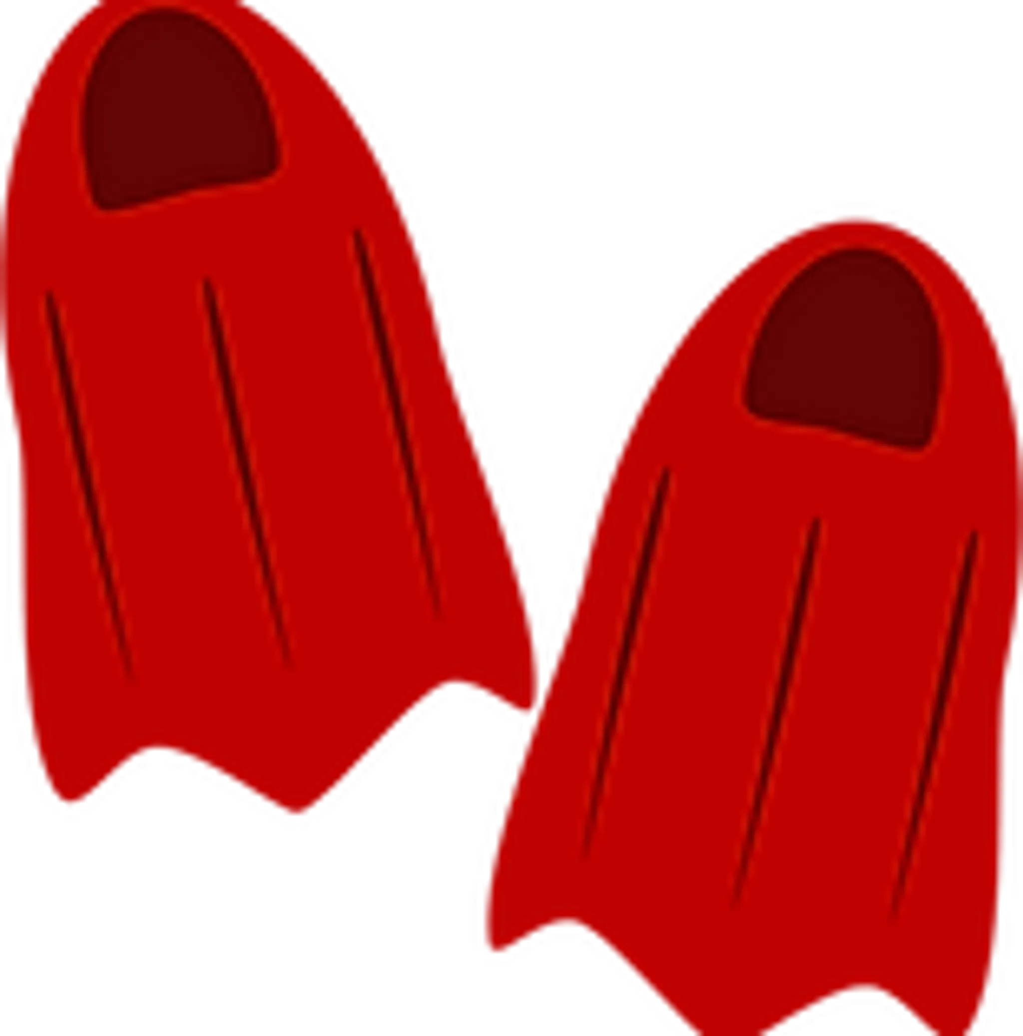 Flippers Swim School