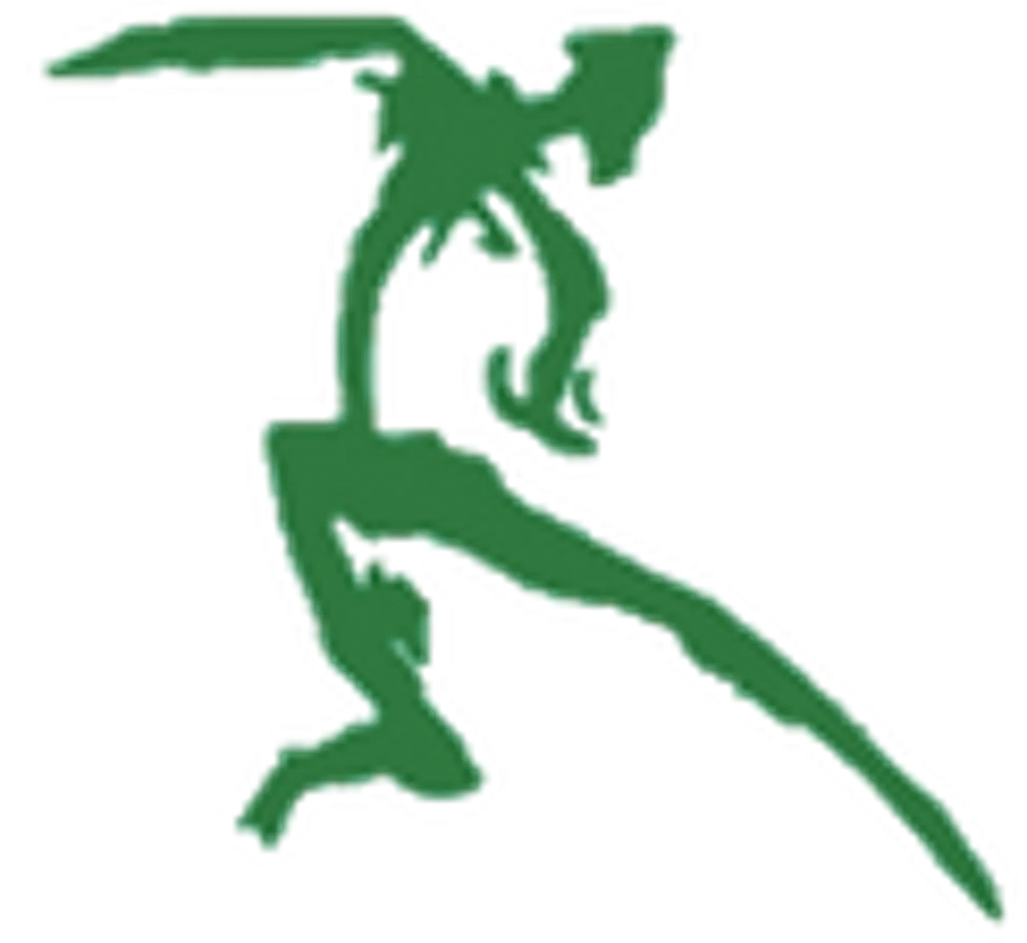 Cooper Strength and Performance