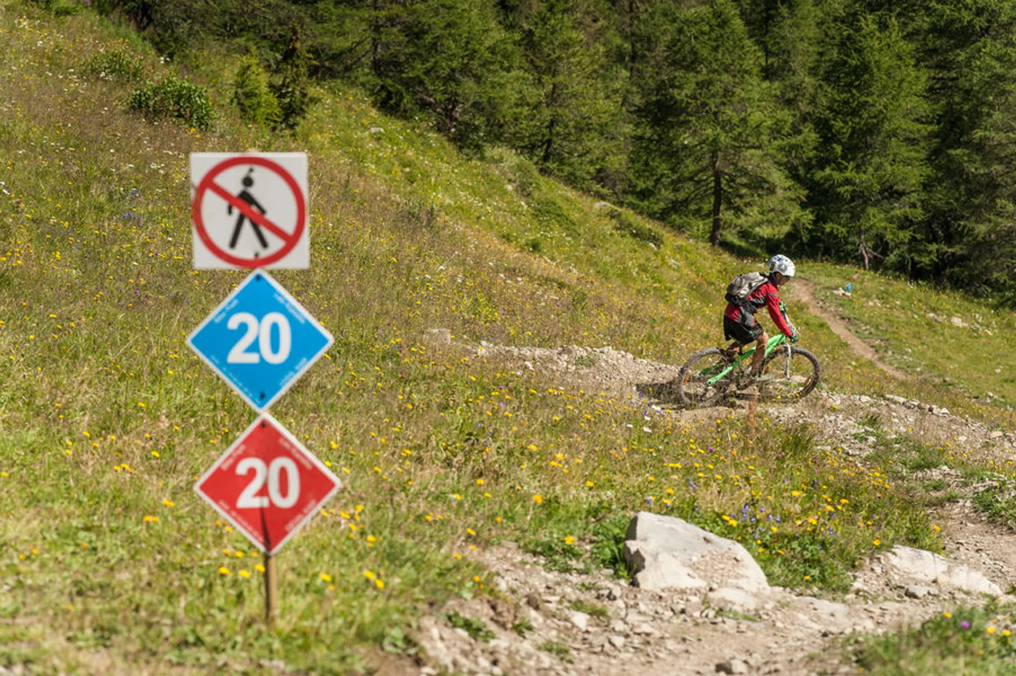 Summer Fitness Festival