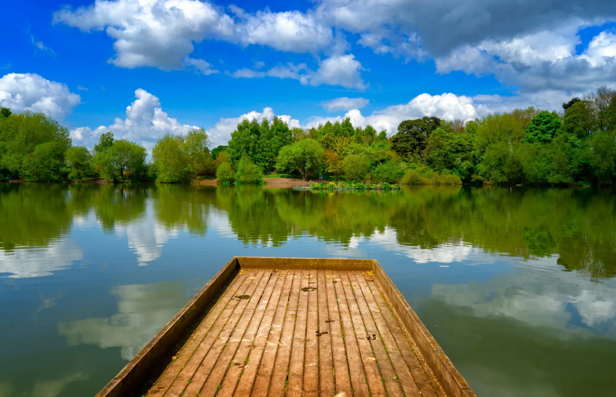Patshull Park Fishery