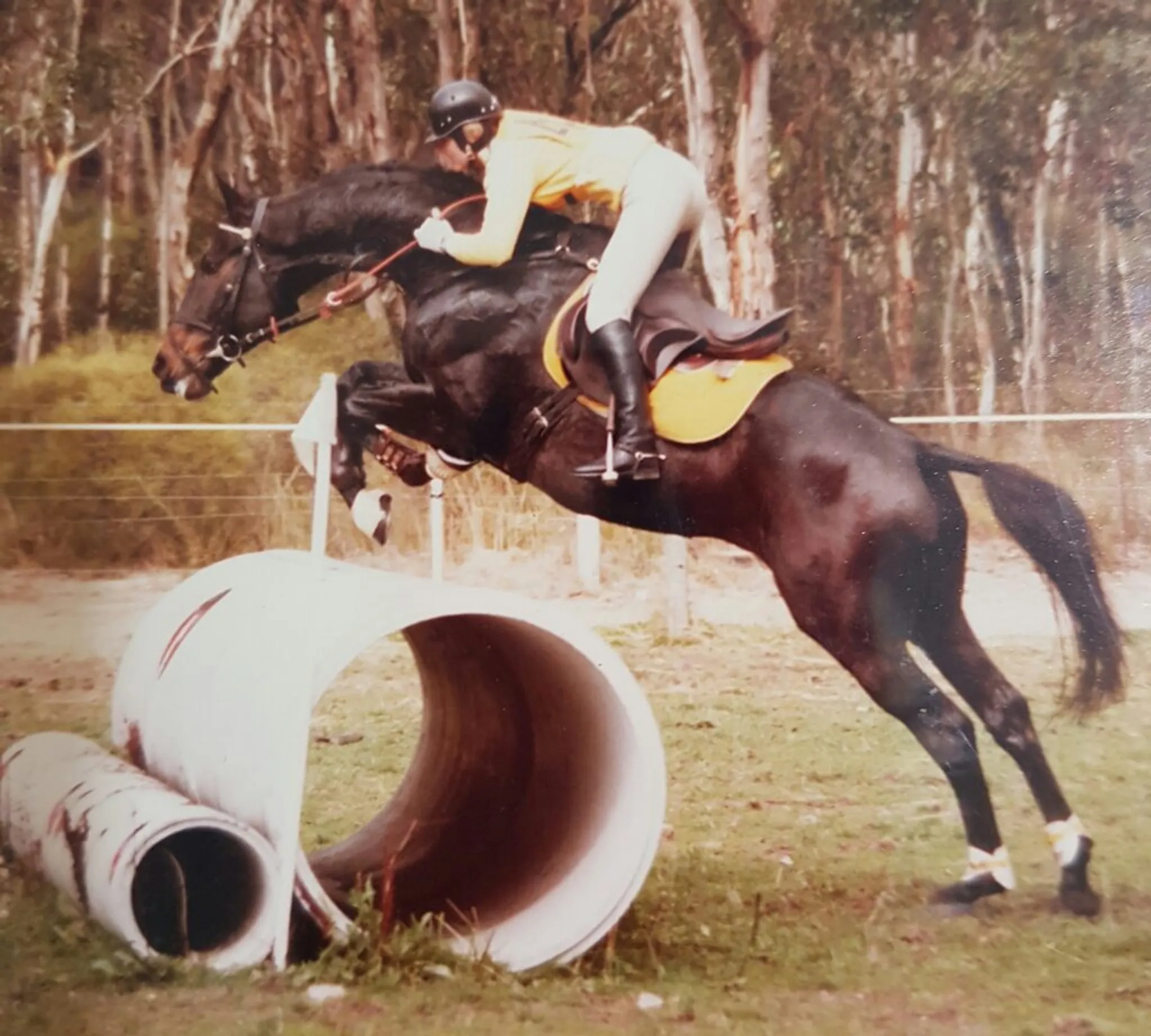 Applied Posture Riding 12-Month Course
