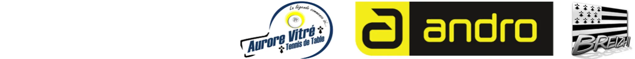 Aurore Vitré Tennis de Table