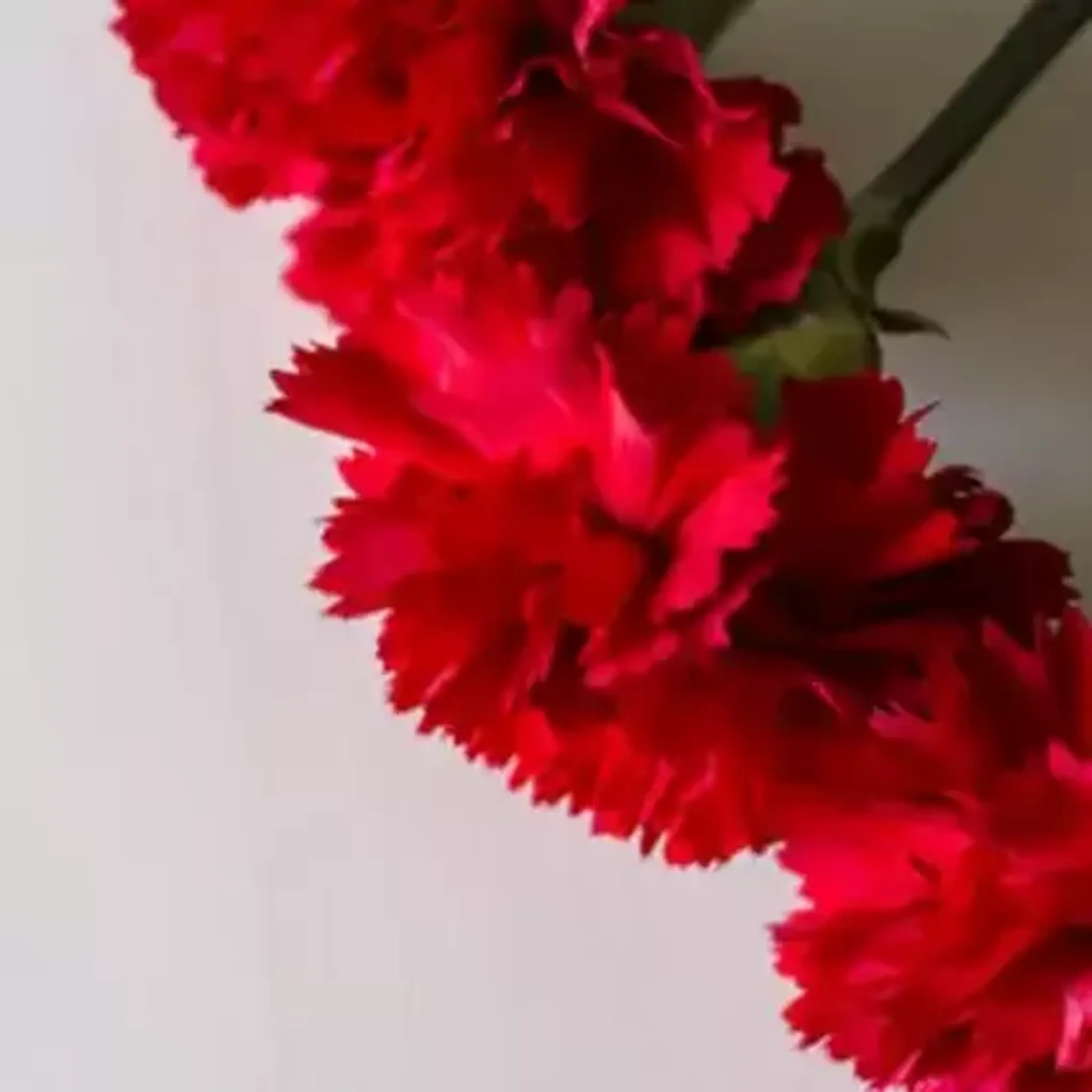 Piscine Paul Vaillant Couturier