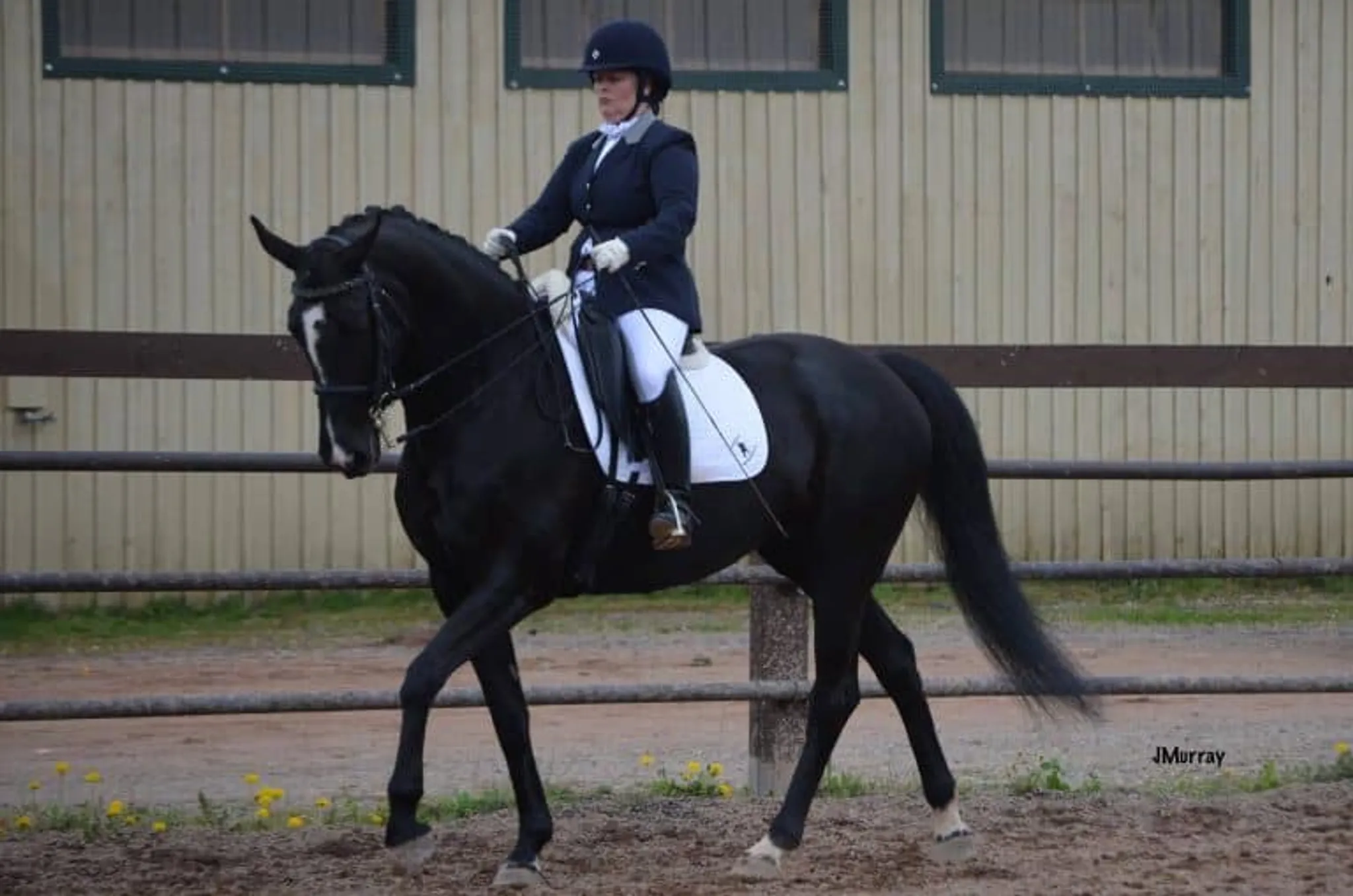 Dressage Clinic with Donna McInnis