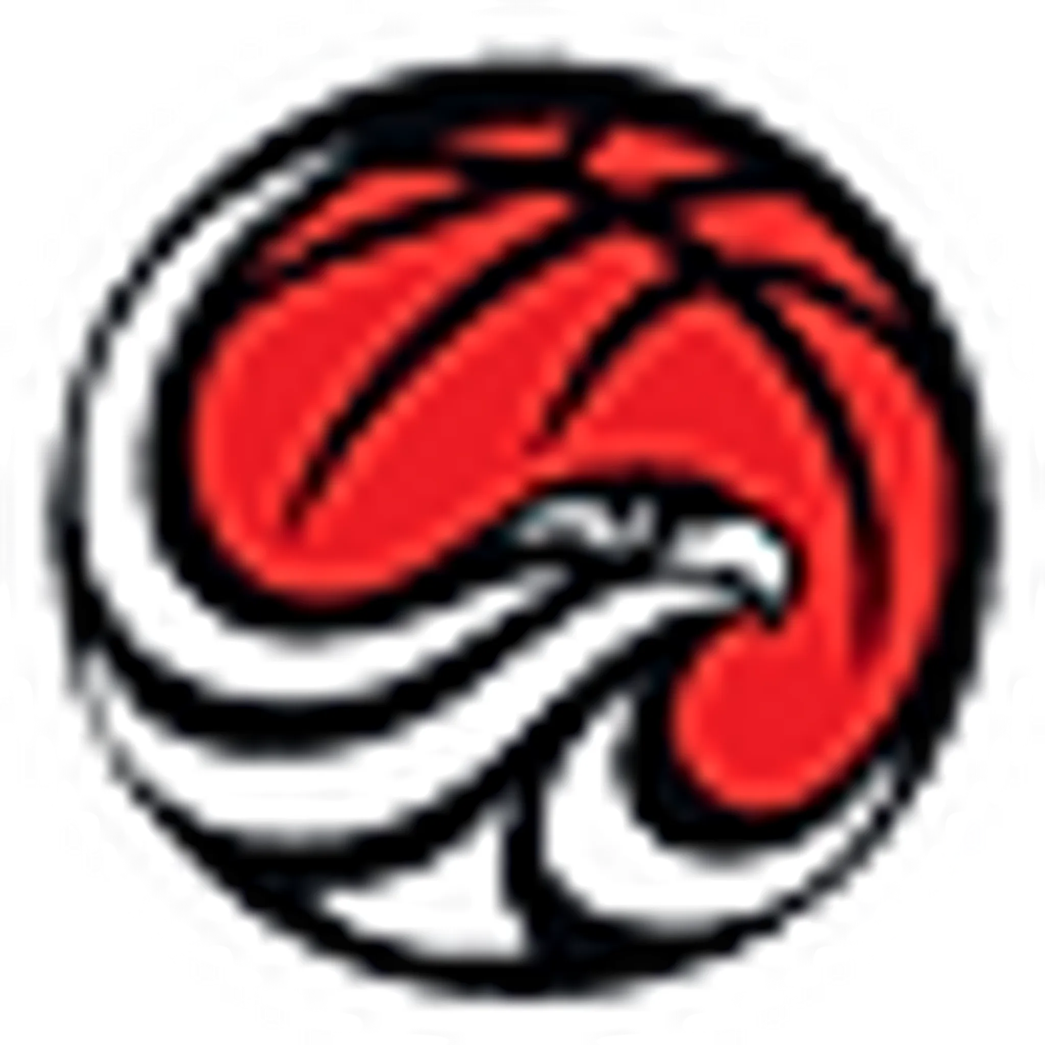 Illawarra Basketball Association