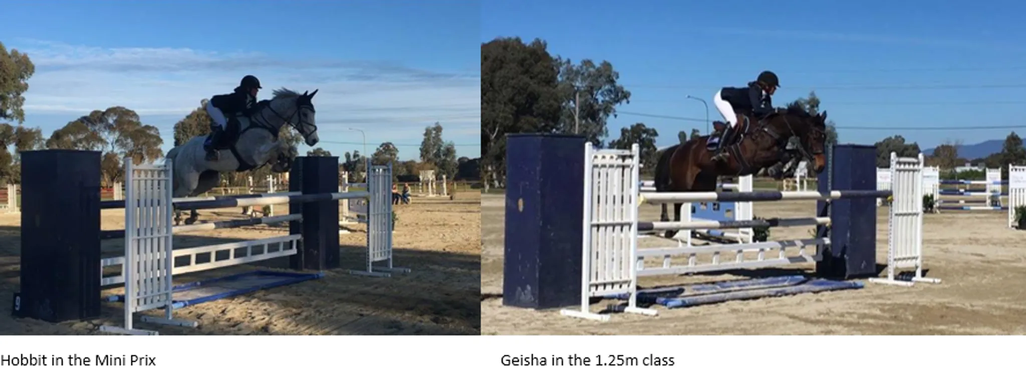 Sophia Hill Equestrian