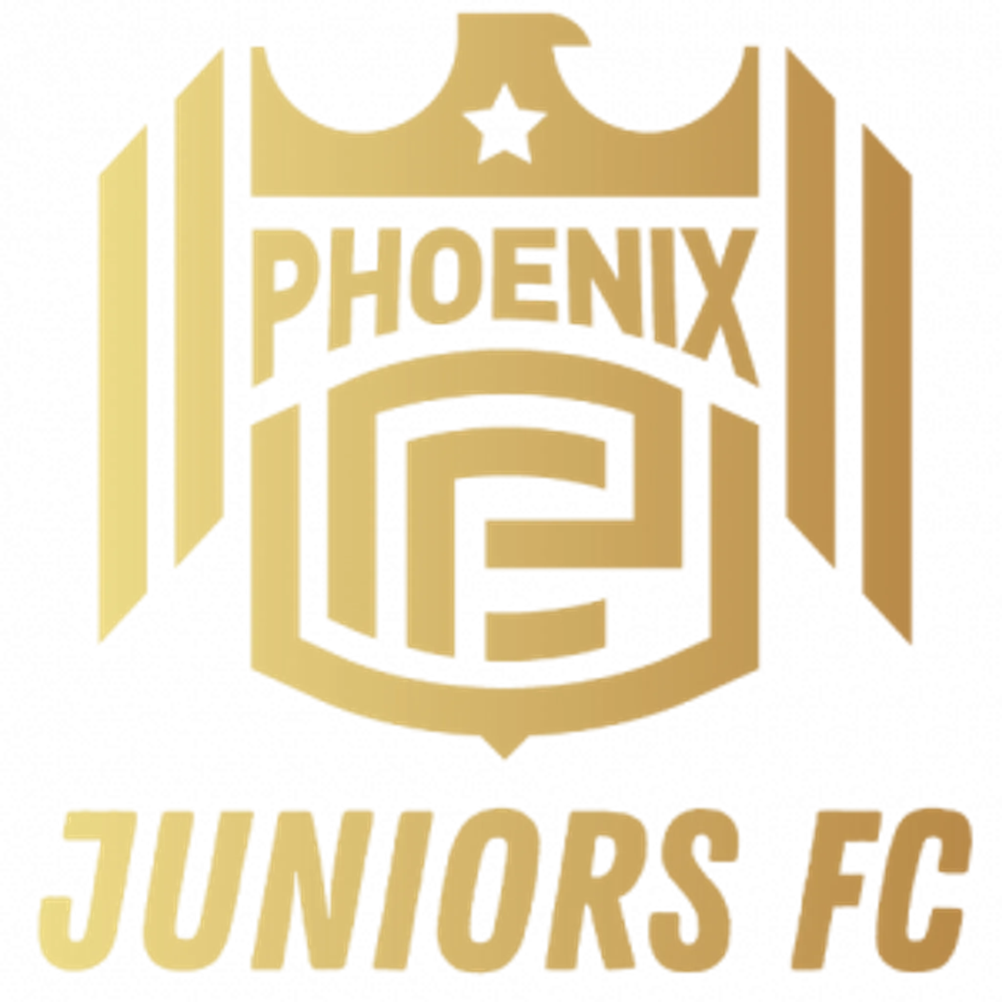 Phoenix Juniors - Bradford