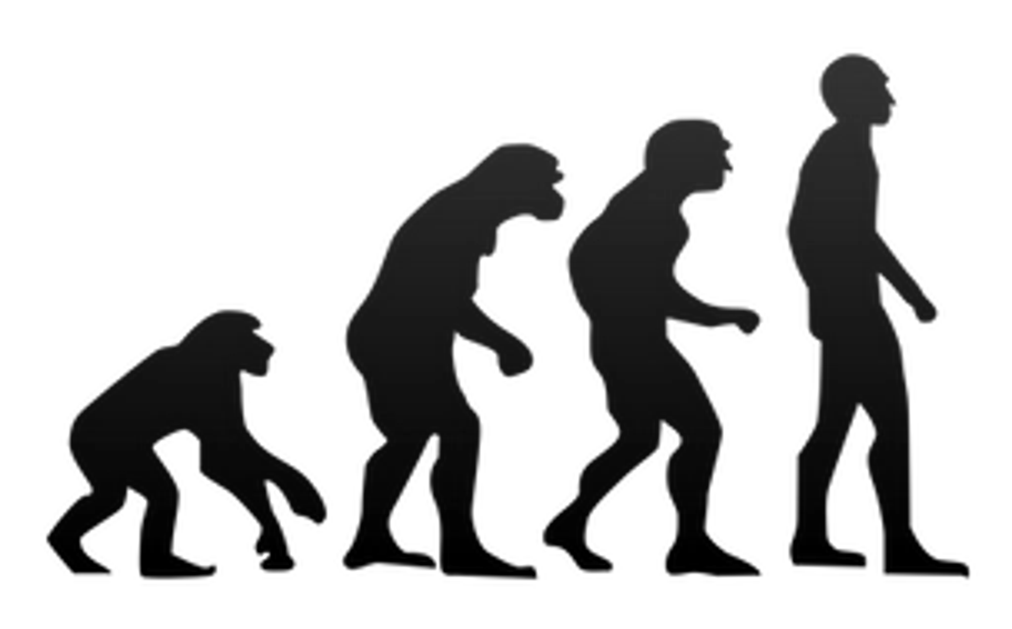 Cairns Gait and Posture Training